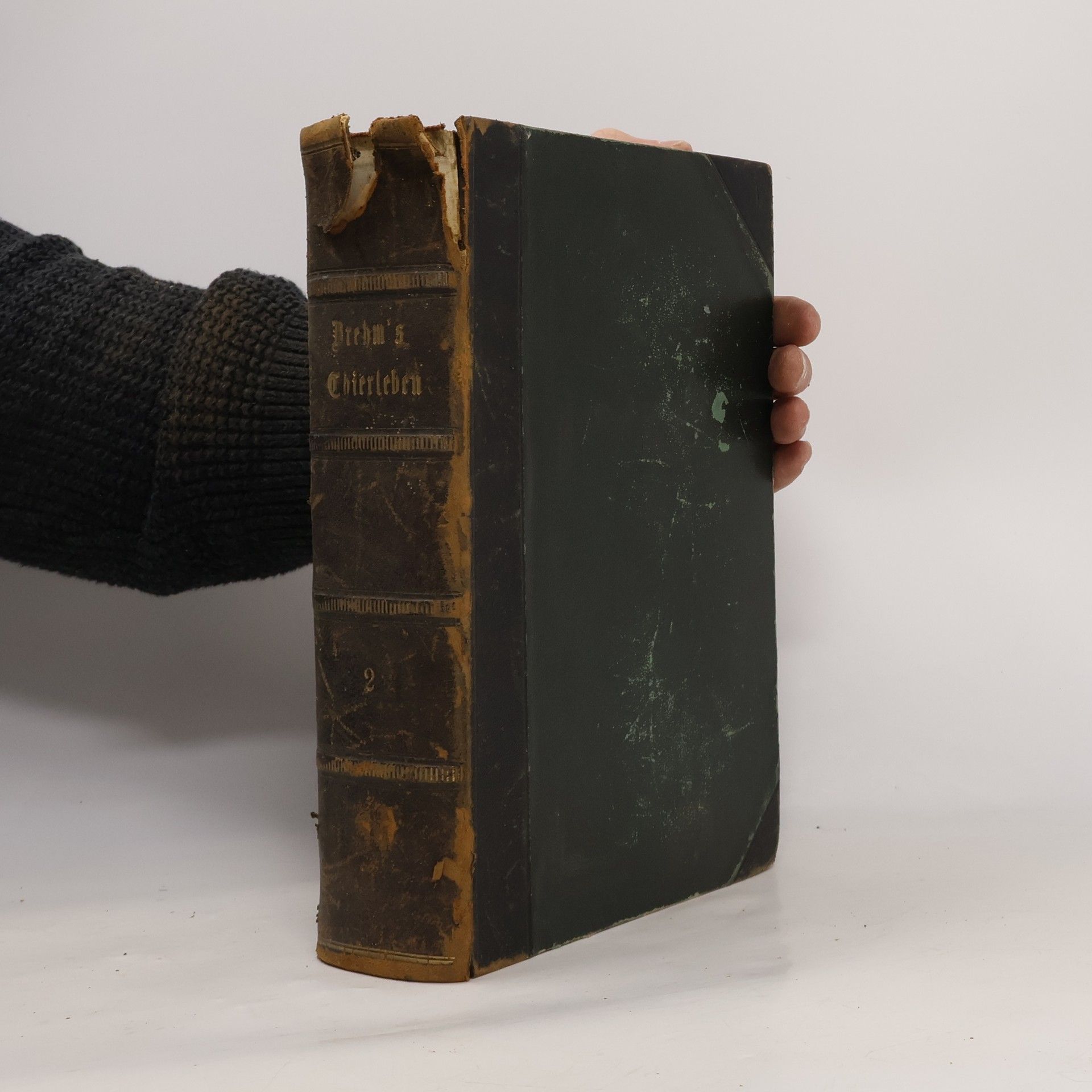 Alfred Edmund Brehm Illustriertes Tierleben 2