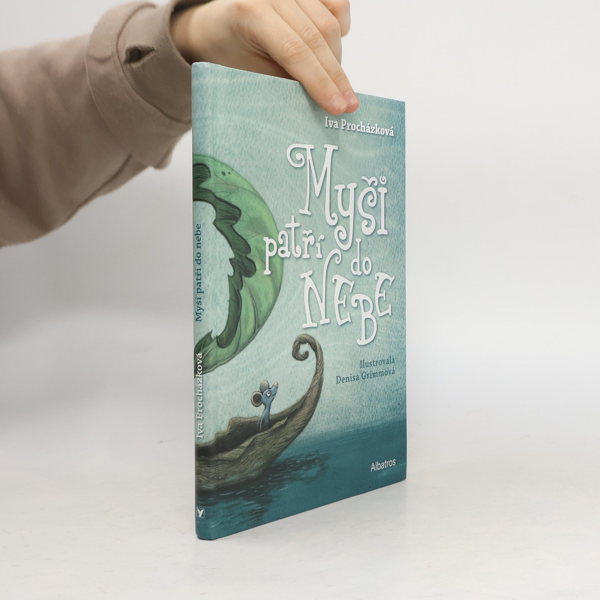 Iva Procházková Myši patří do nebe