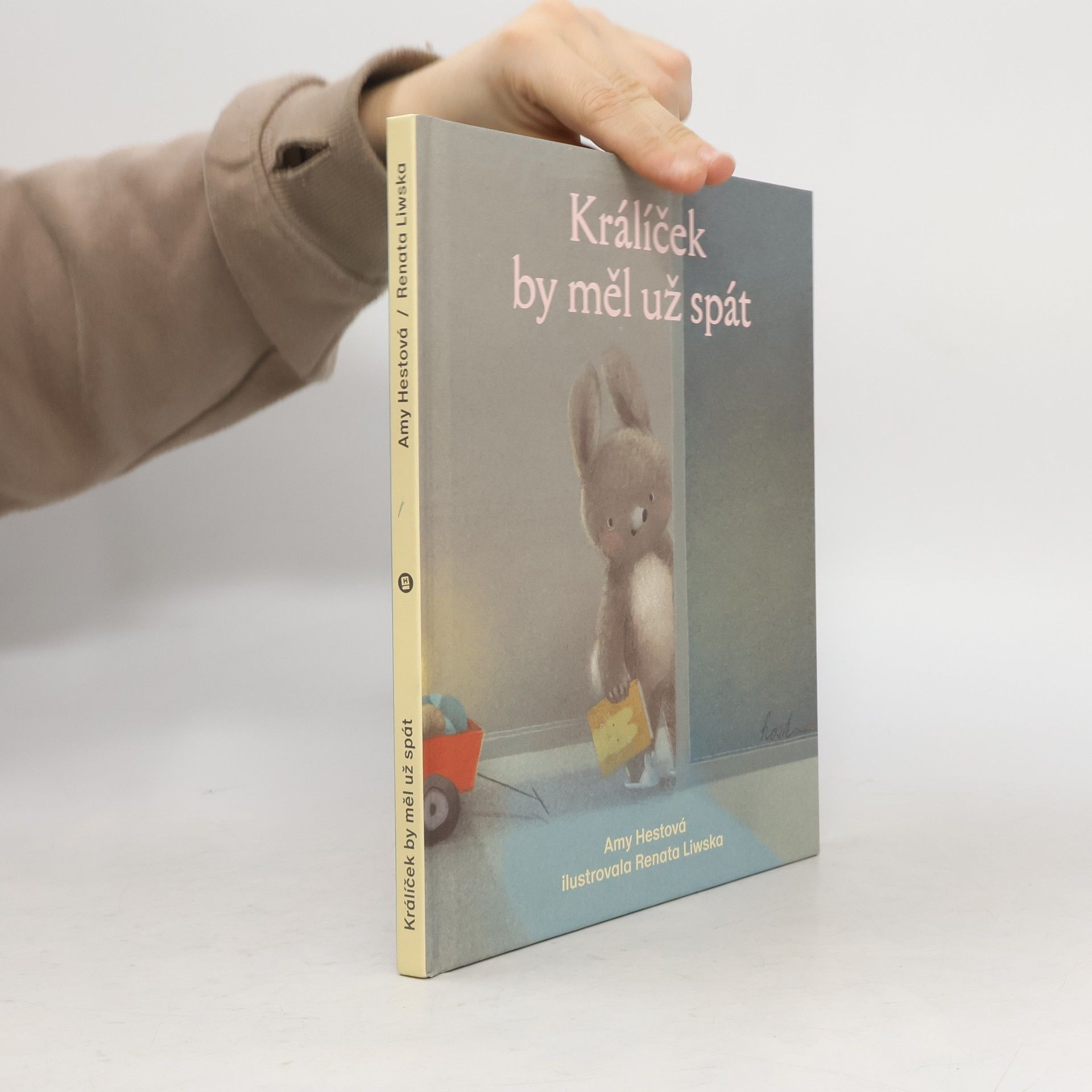 Amy Hest Králíček by měl už spát