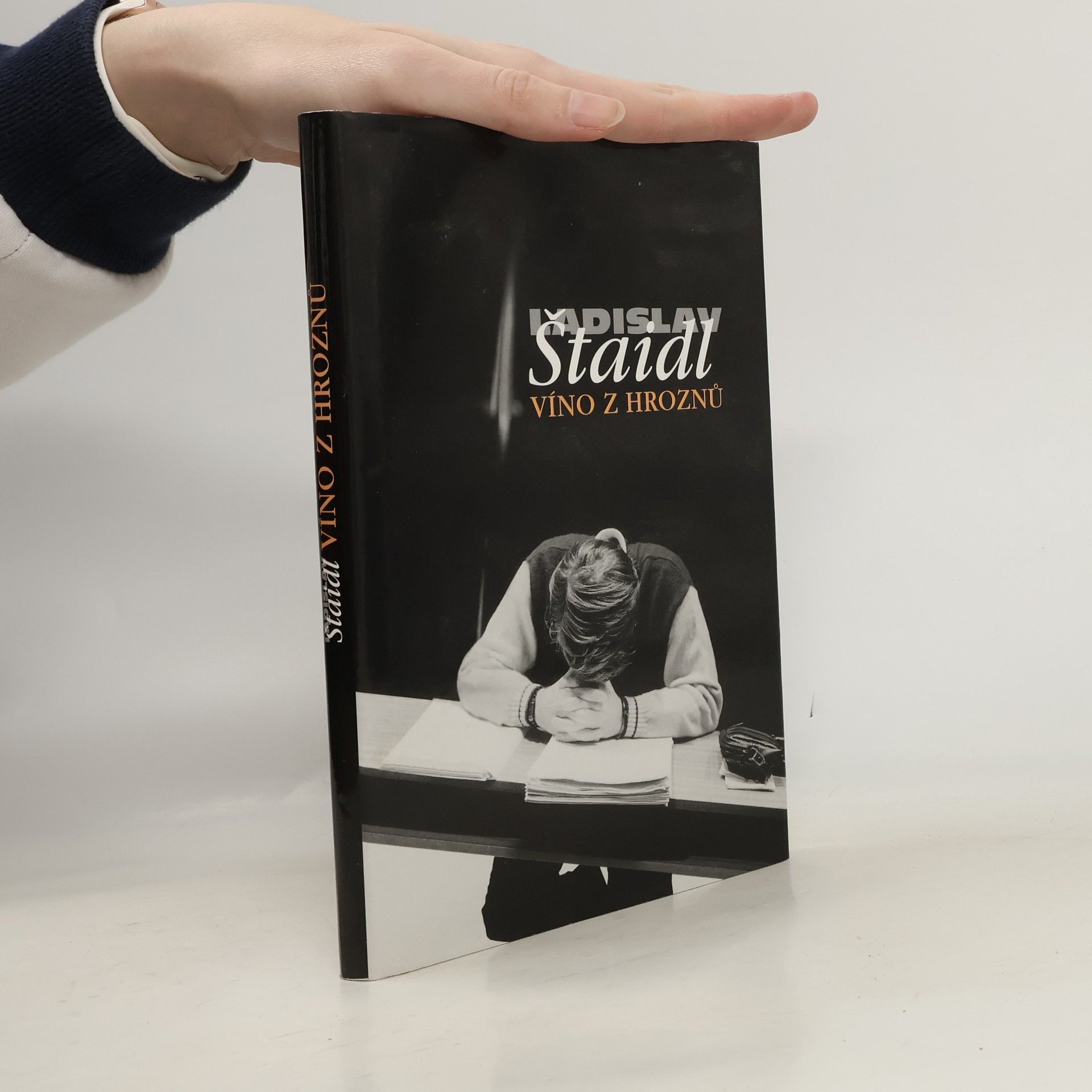 Ladislav Štaidl Víno z hroznů