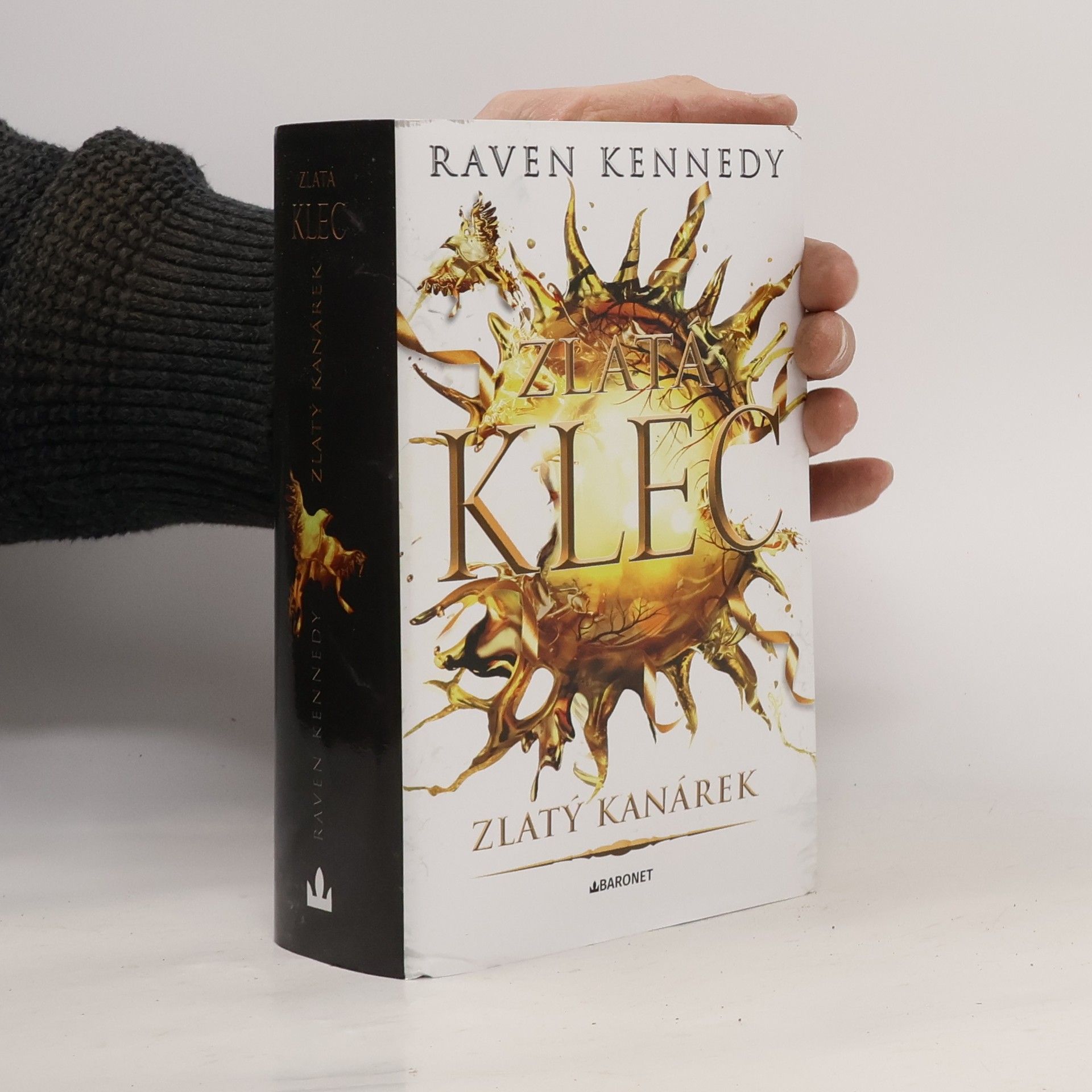Raven Kennedy Zlatý kanárek