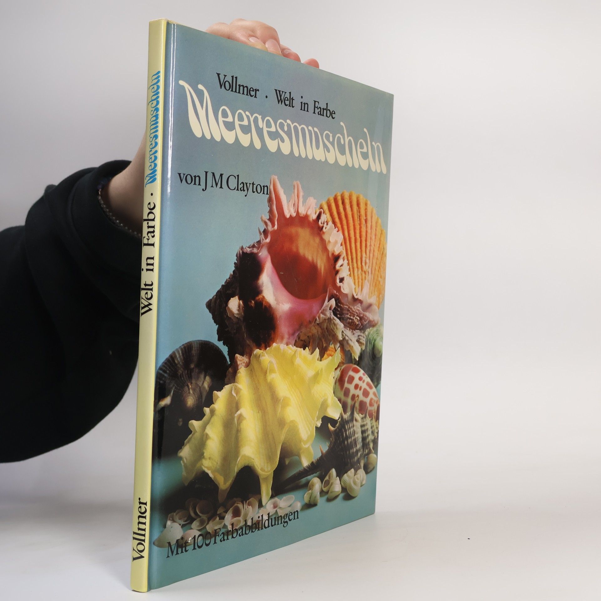 J. M. Claytone Meeresmuscheln