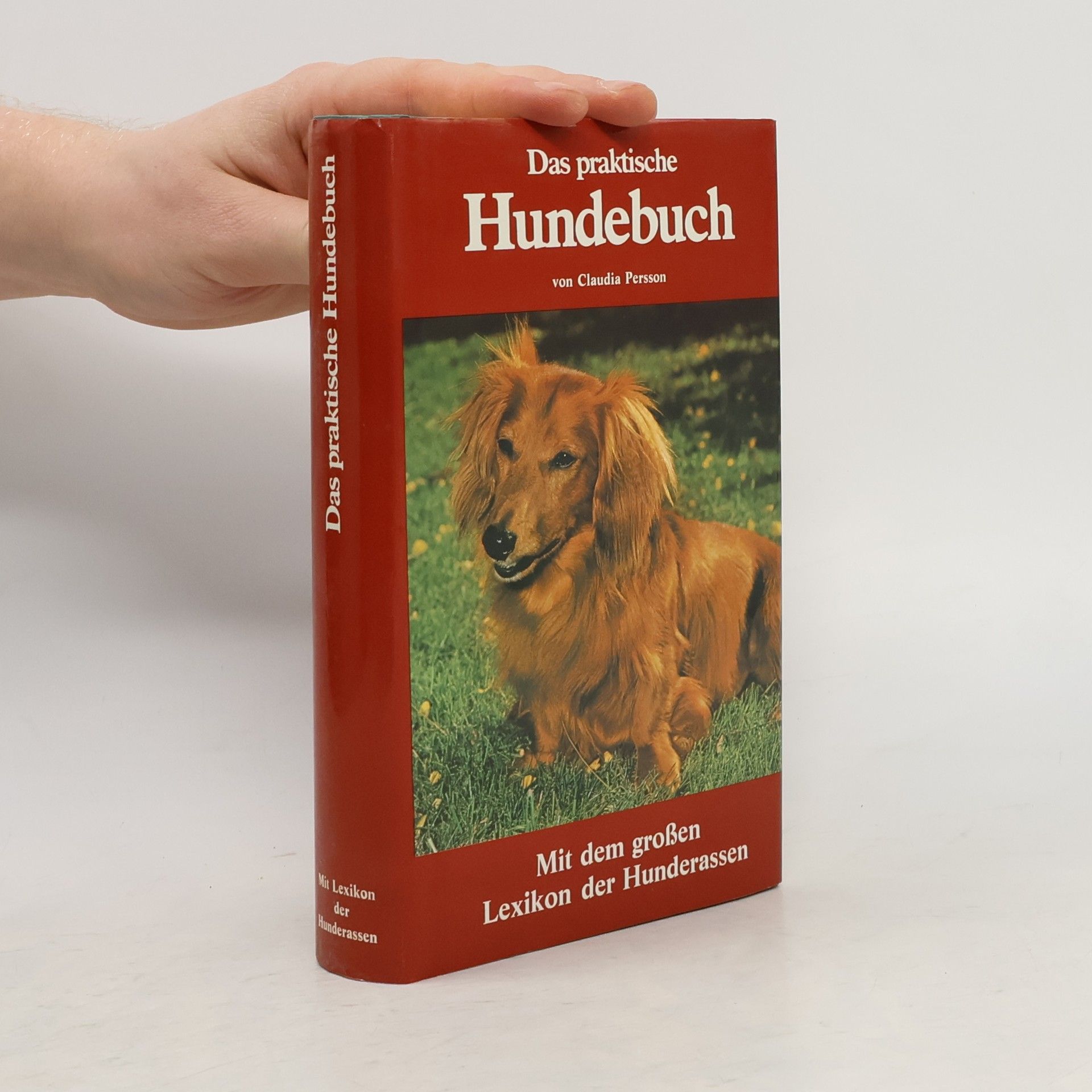 Claudia Persson Das praktische Hundebuch