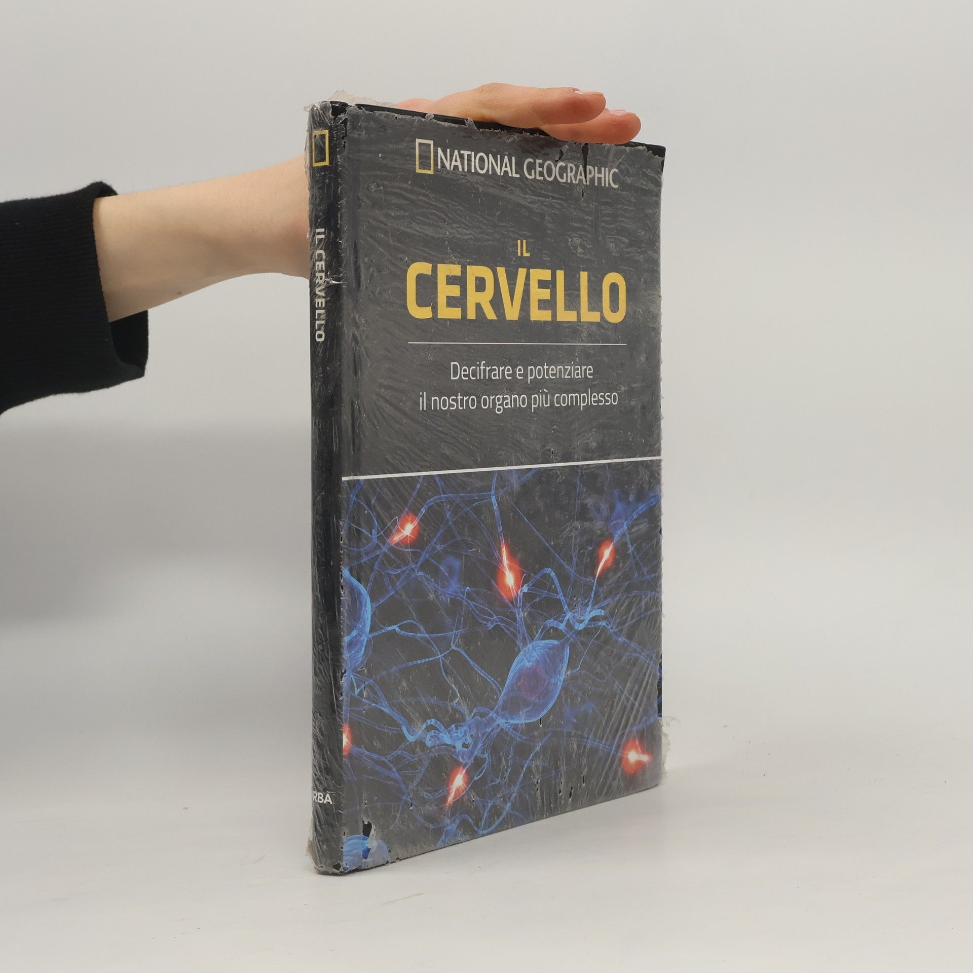 Autorenkollektiv Il cervello