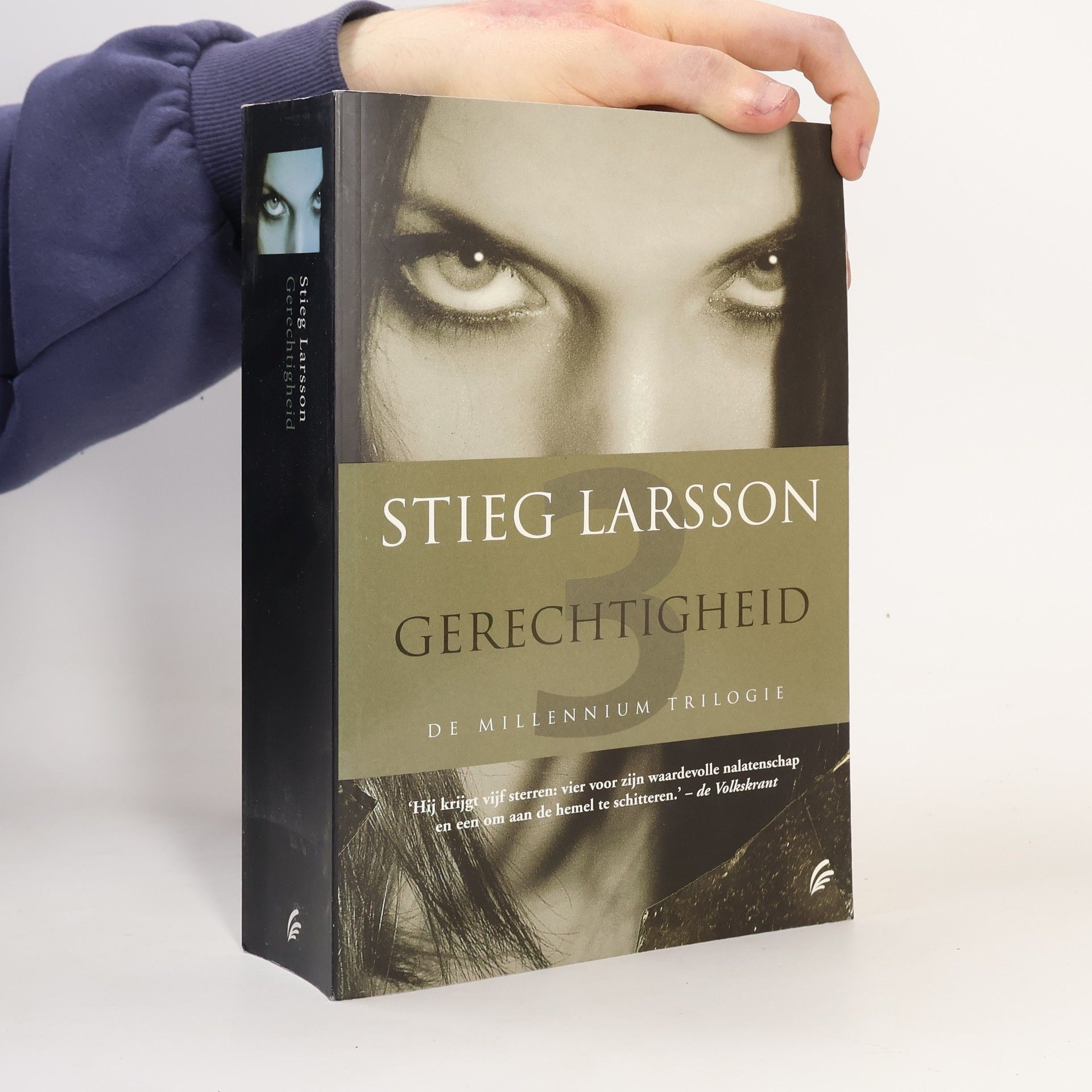 Stieg Larsson Gerechtigheid
