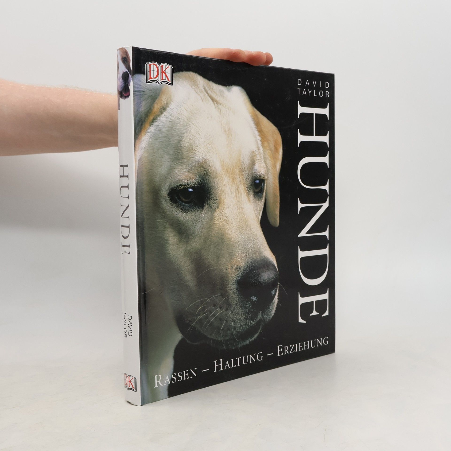 David Conrad Taylor Hunde