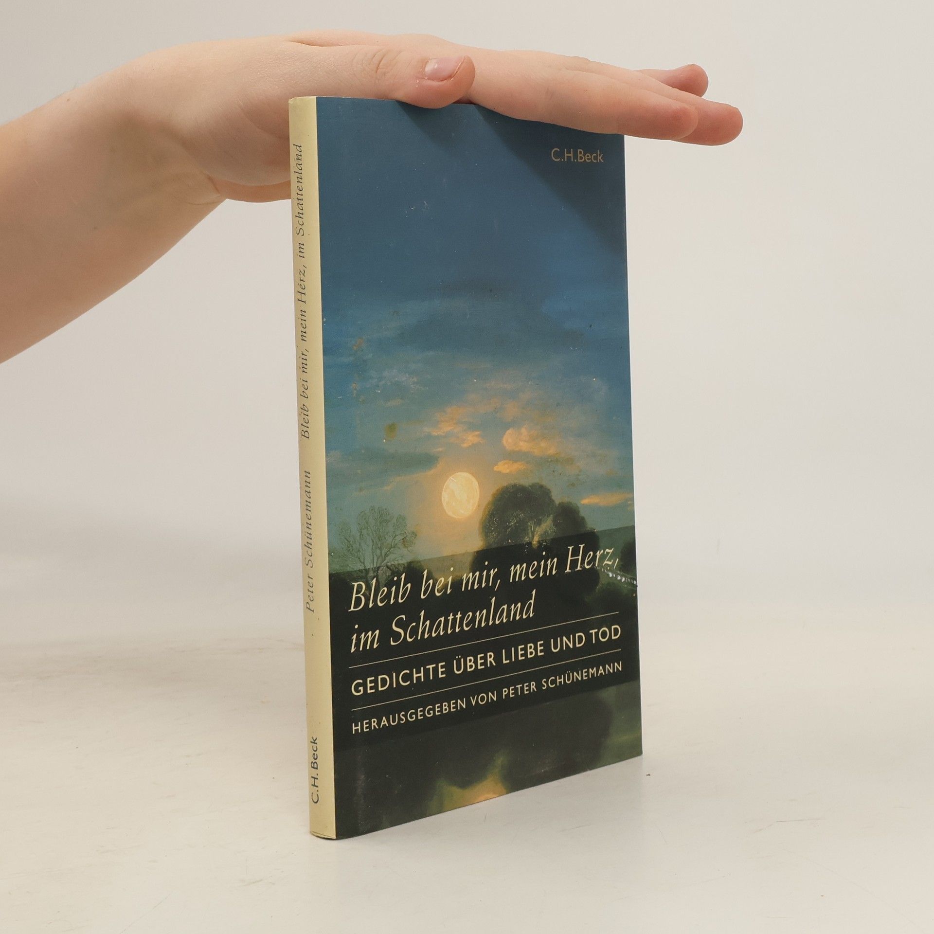 Peter Schünemann Bleib bei mir, mein Herz, im Schattenland