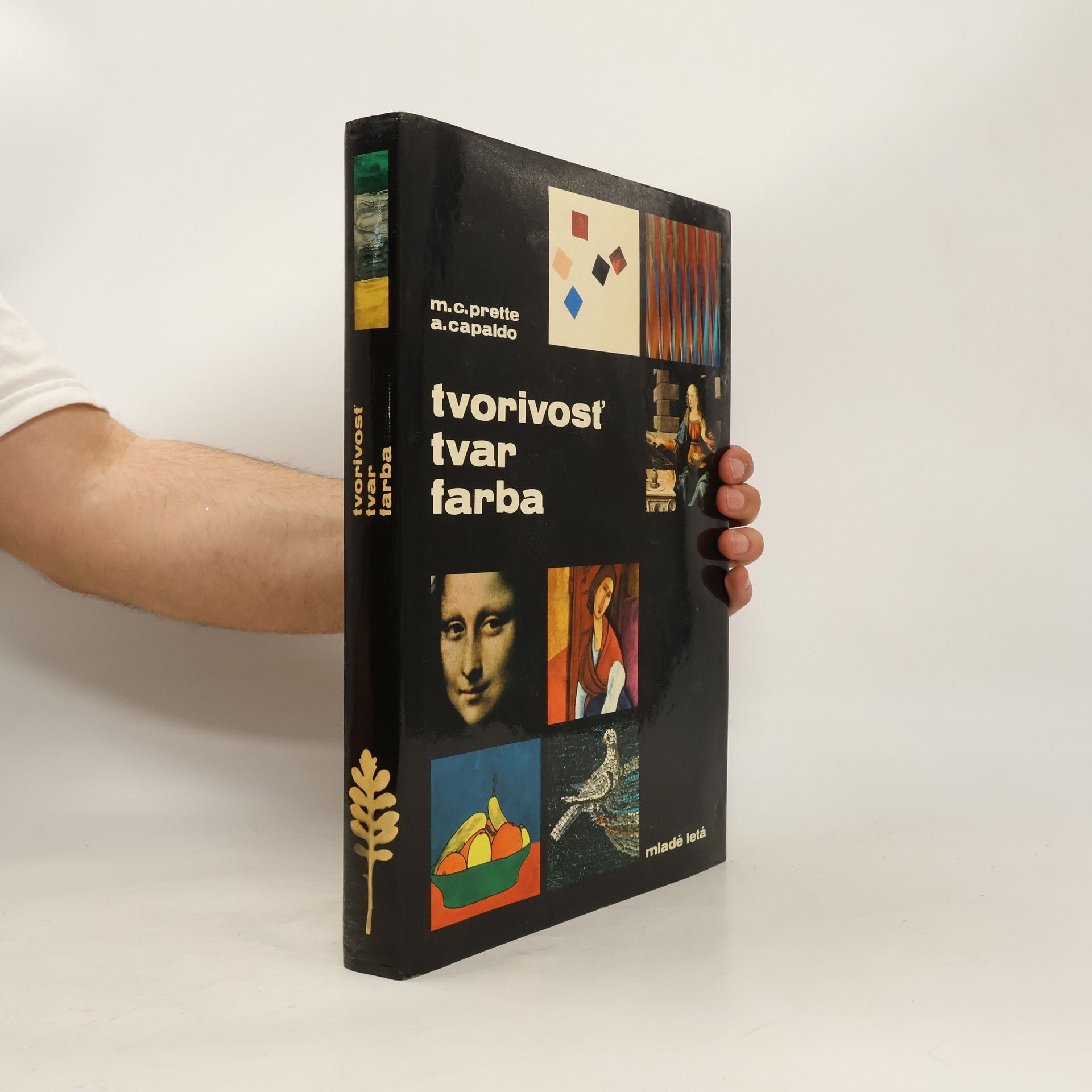 Maria Carla Prette Tvorivosť, tvar, farba