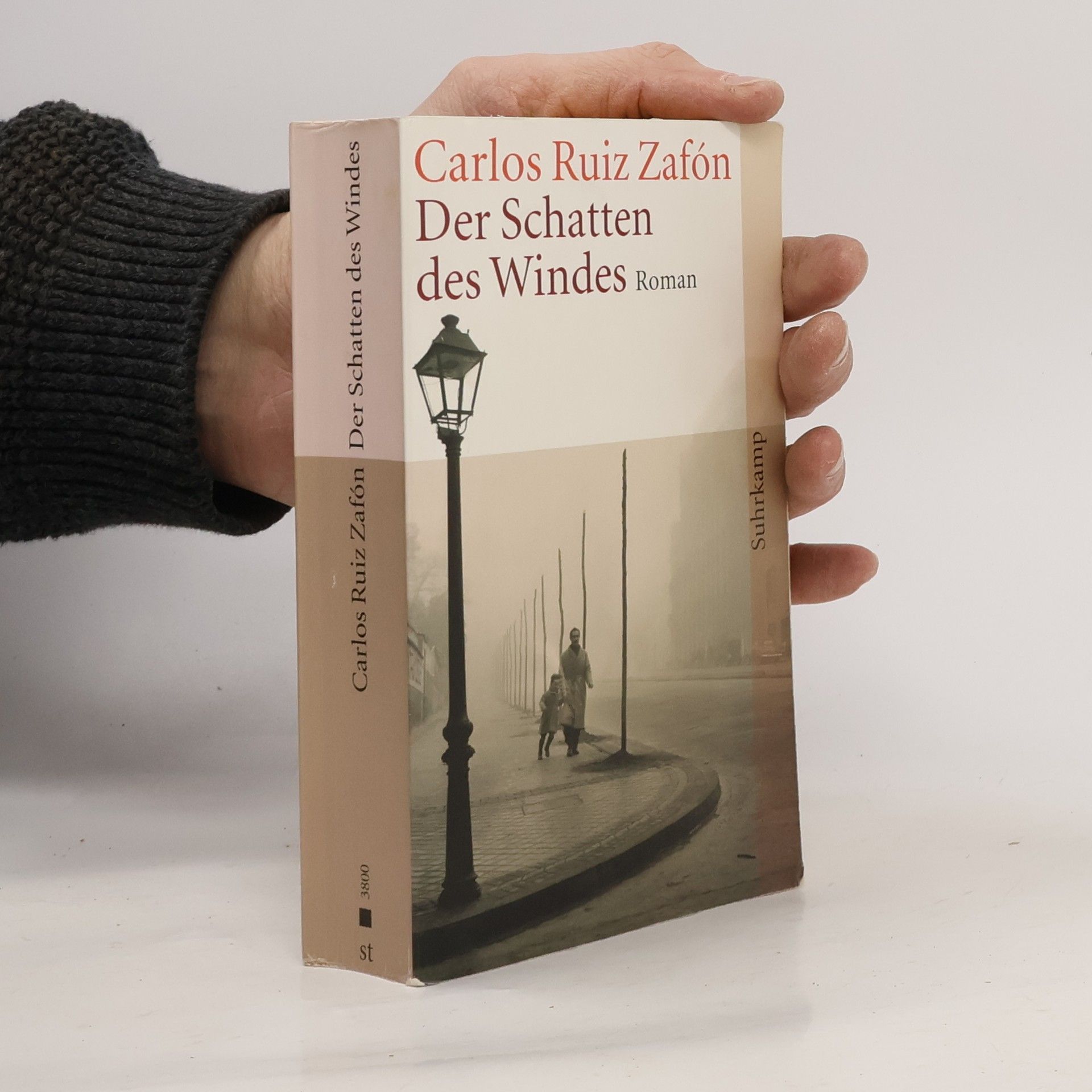 Carlos Ruiz Zafón Der Schatten des Windes