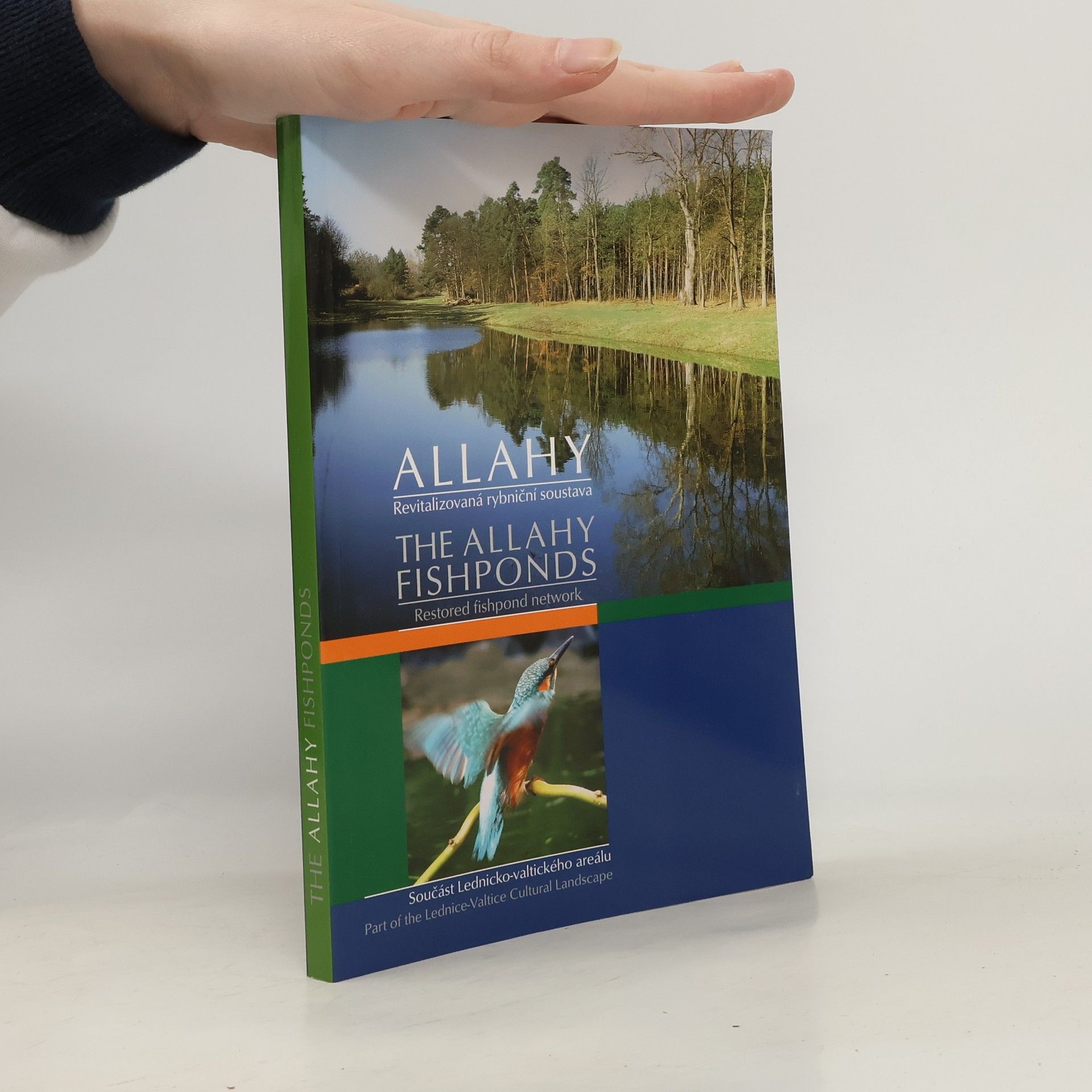 The Allahy Fishponds