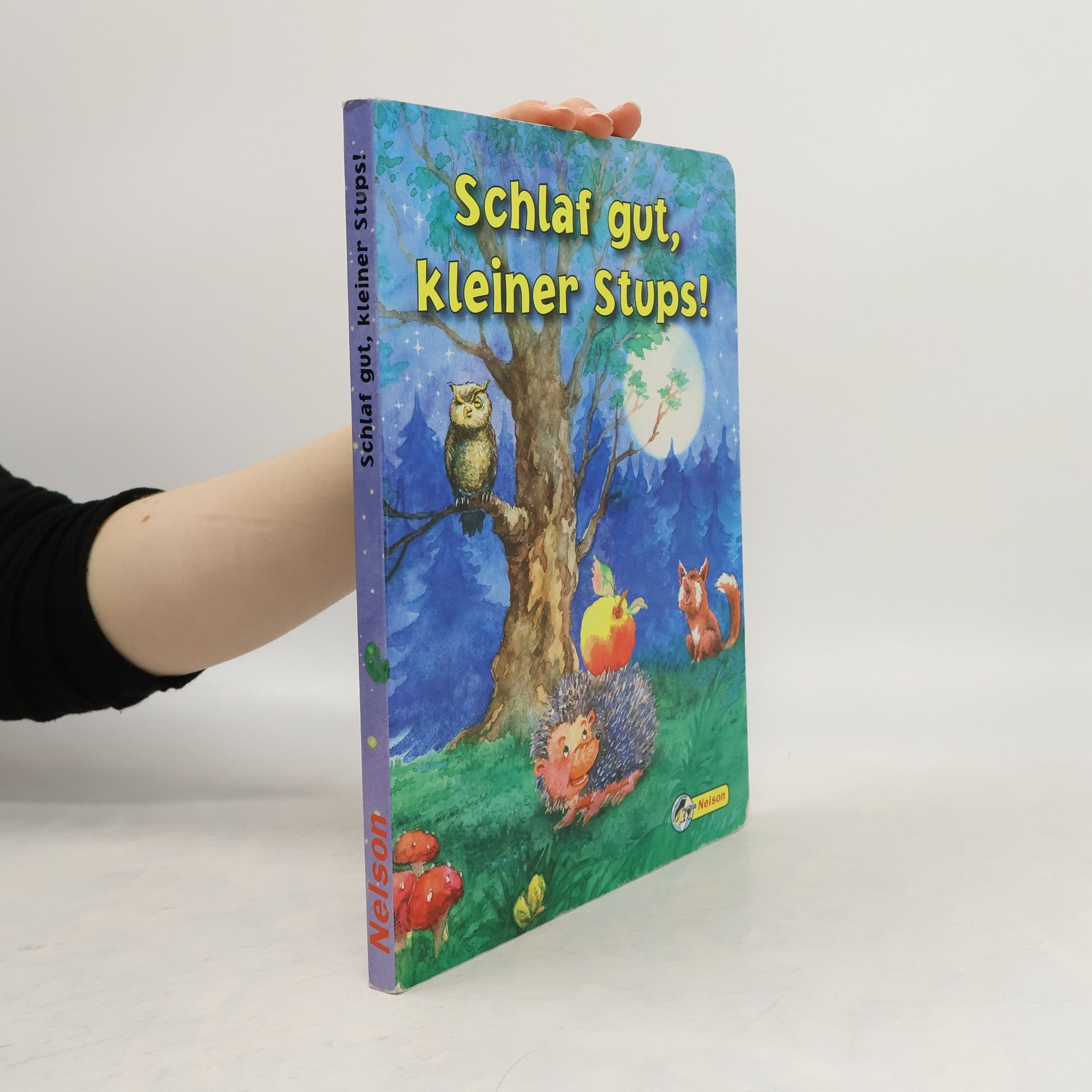 Regina Holzkämper Schlaf gut, kleiner Stups!