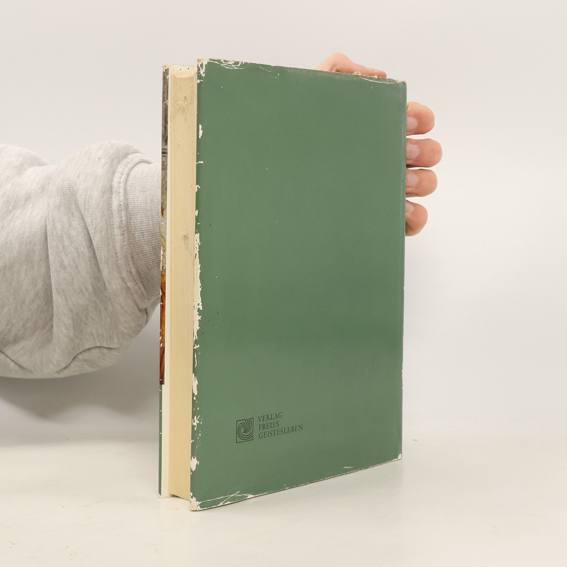 Hella Krause Zimmer Die zwei Jesusknaben in der bildenden Kunst