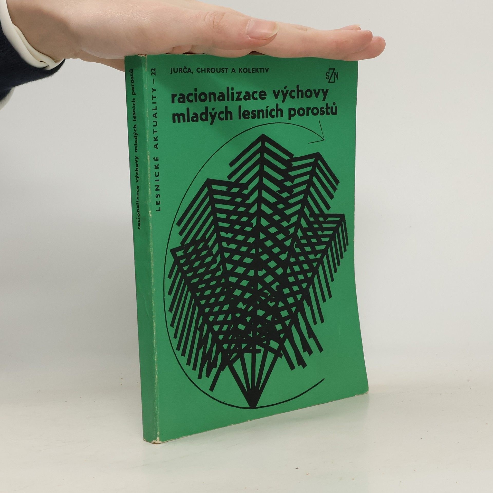 Racionalizace výchovy mladých lesních porostů