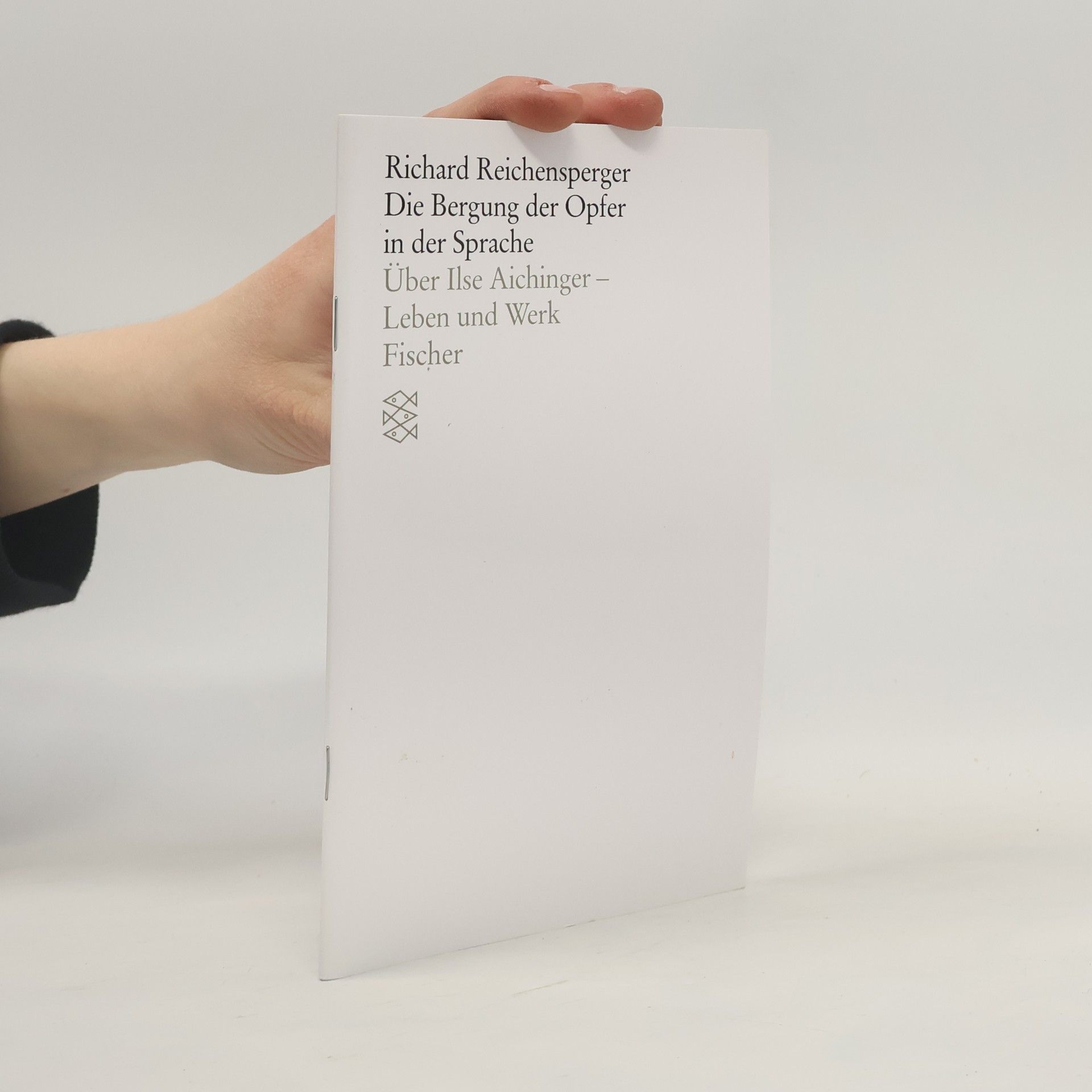 Richard Reichensperger Die Bergung der Opfer in der Sprache