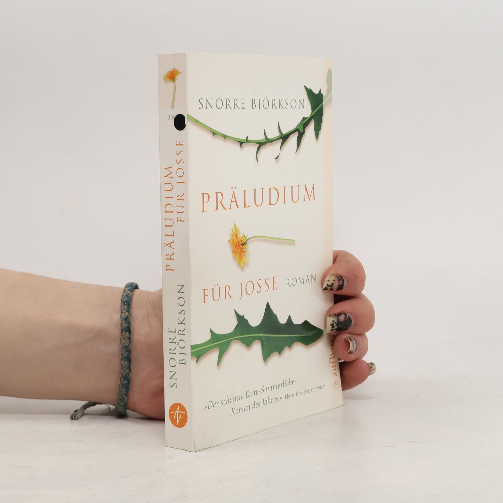 Snorre Björkson Präludium für Josse