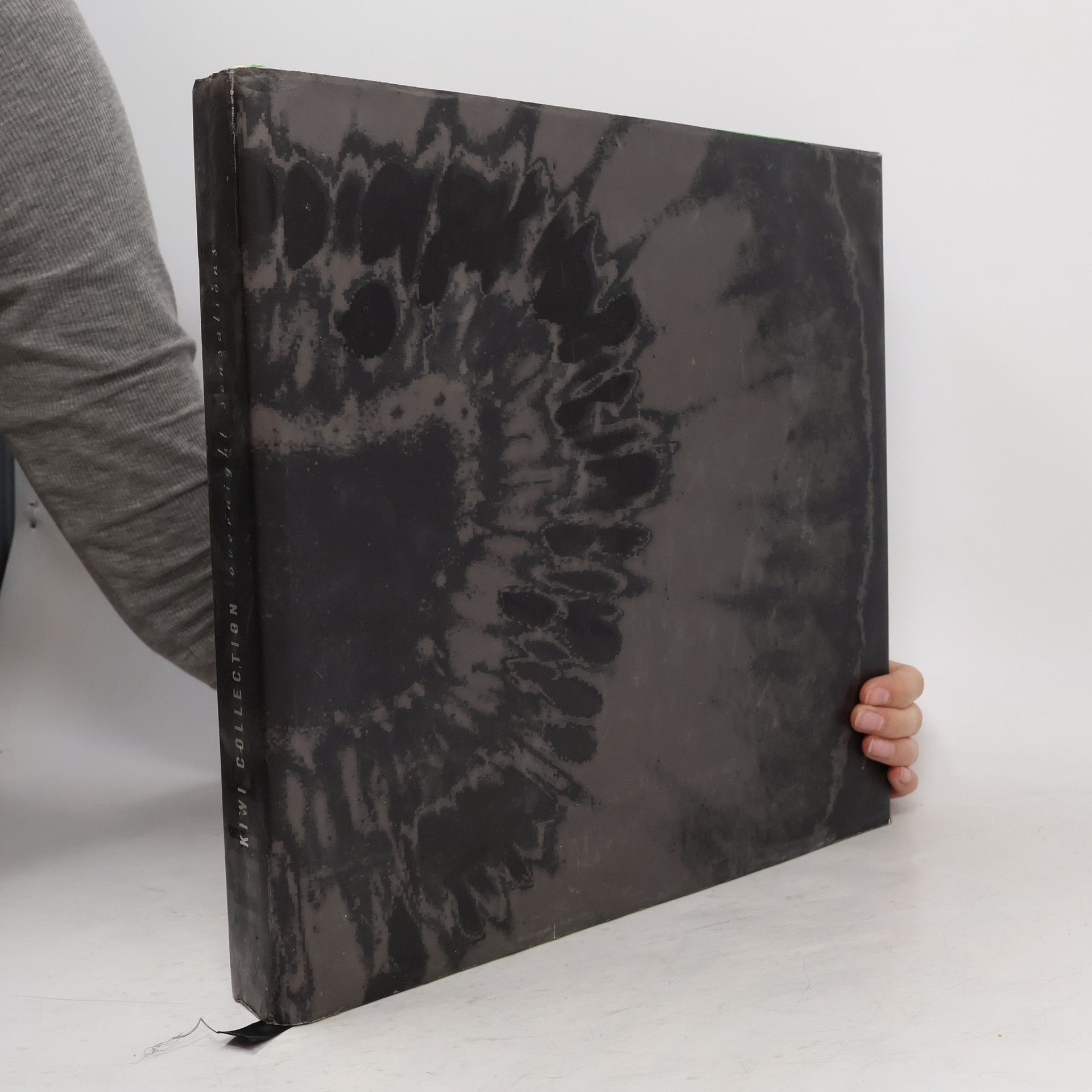 Autorenkollektiv Hotels. Inns. Lodges. Ranches. Resorts