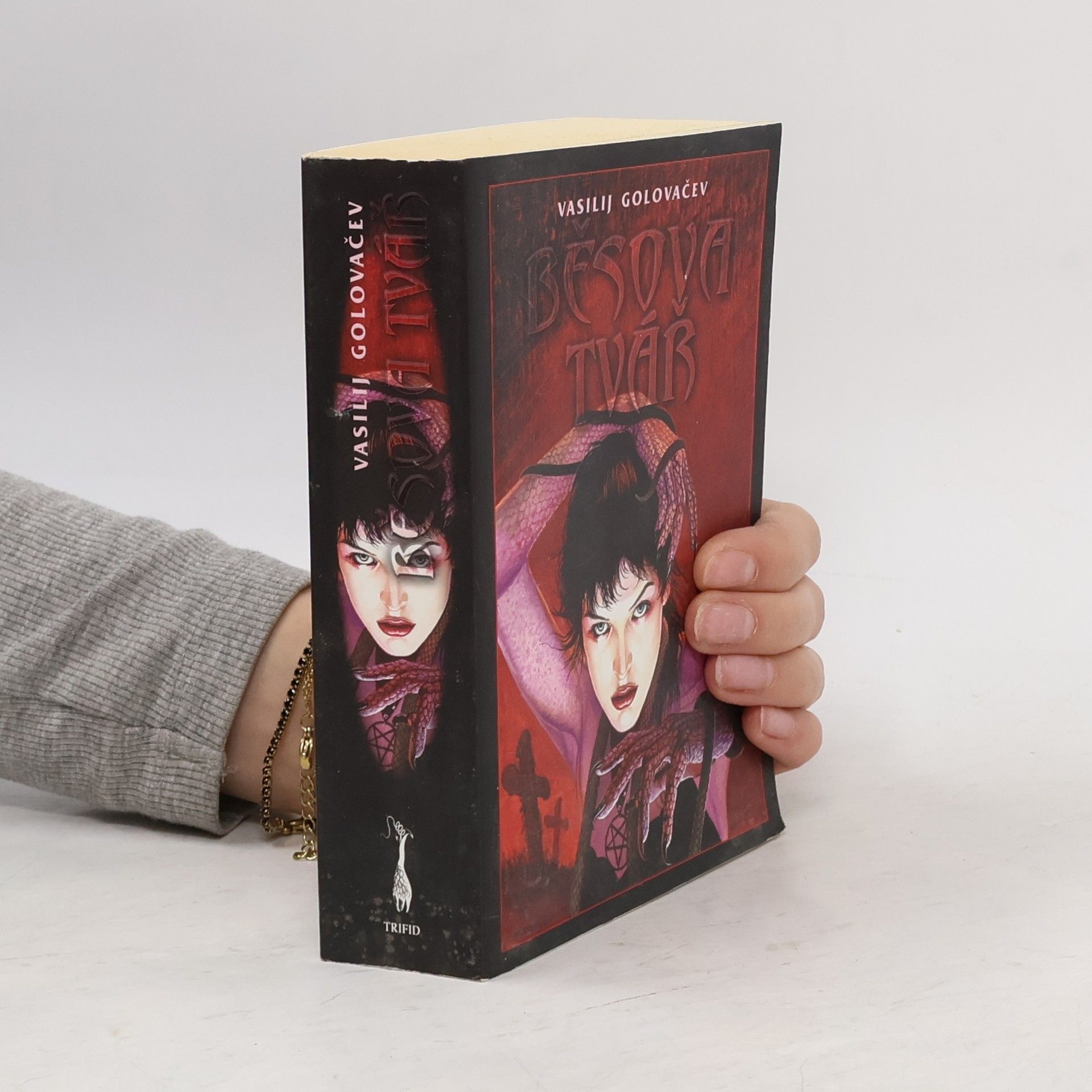 Vasili Golovachov Běsova tvář