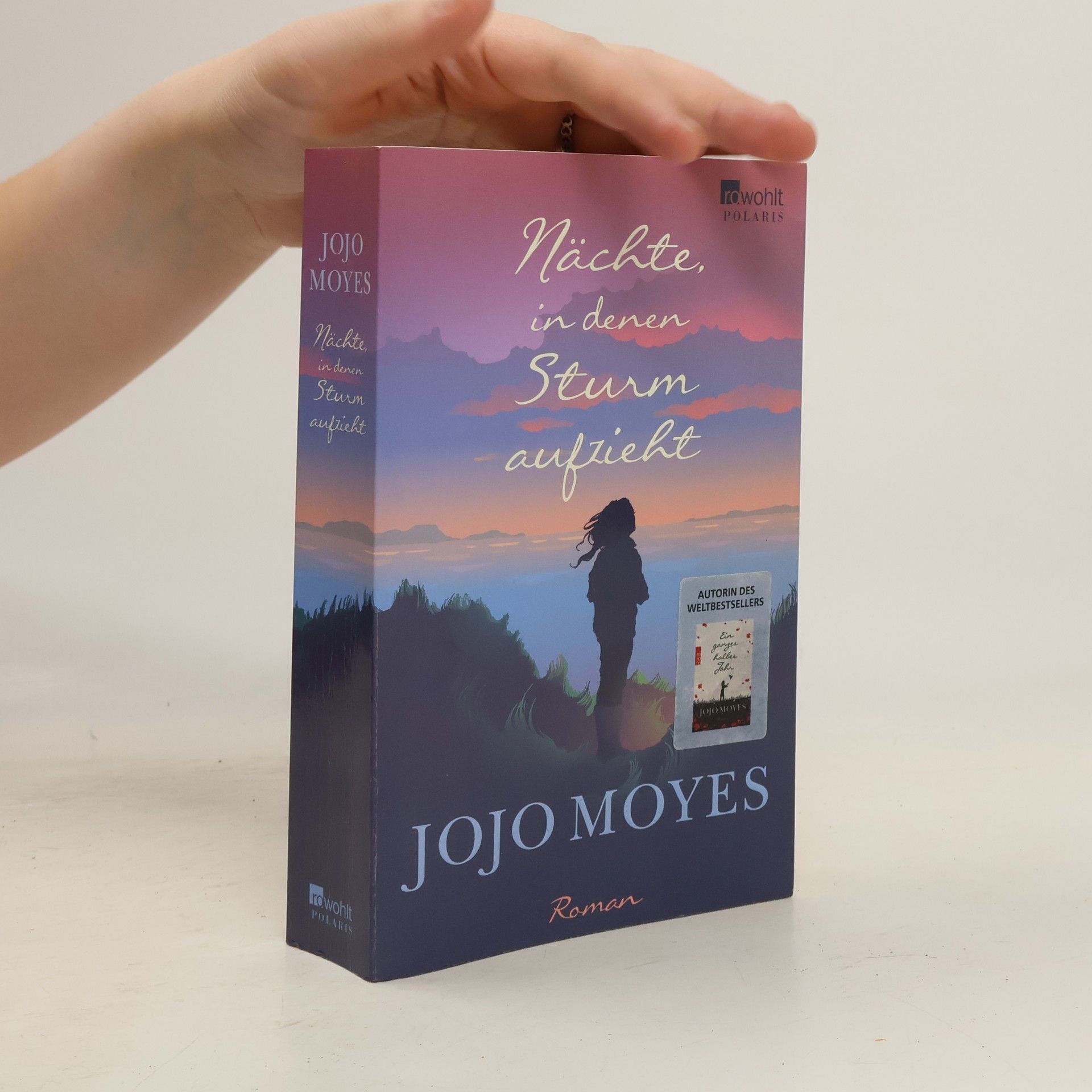 Jojo Moyes Nächte in denen Sturm aufzieht
