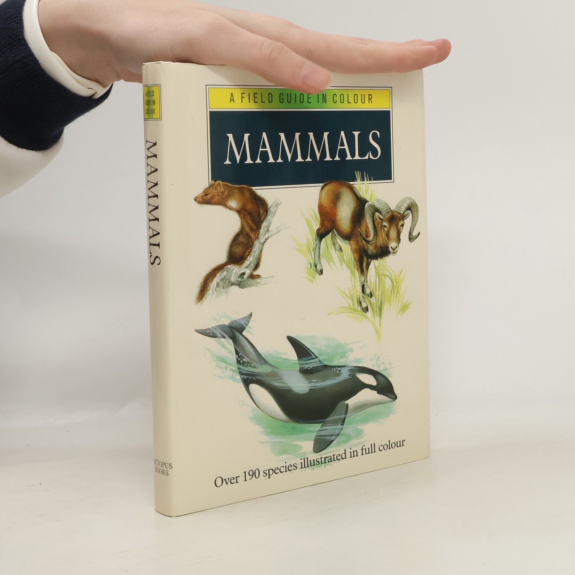 Various authors A field guide in colour to mammals