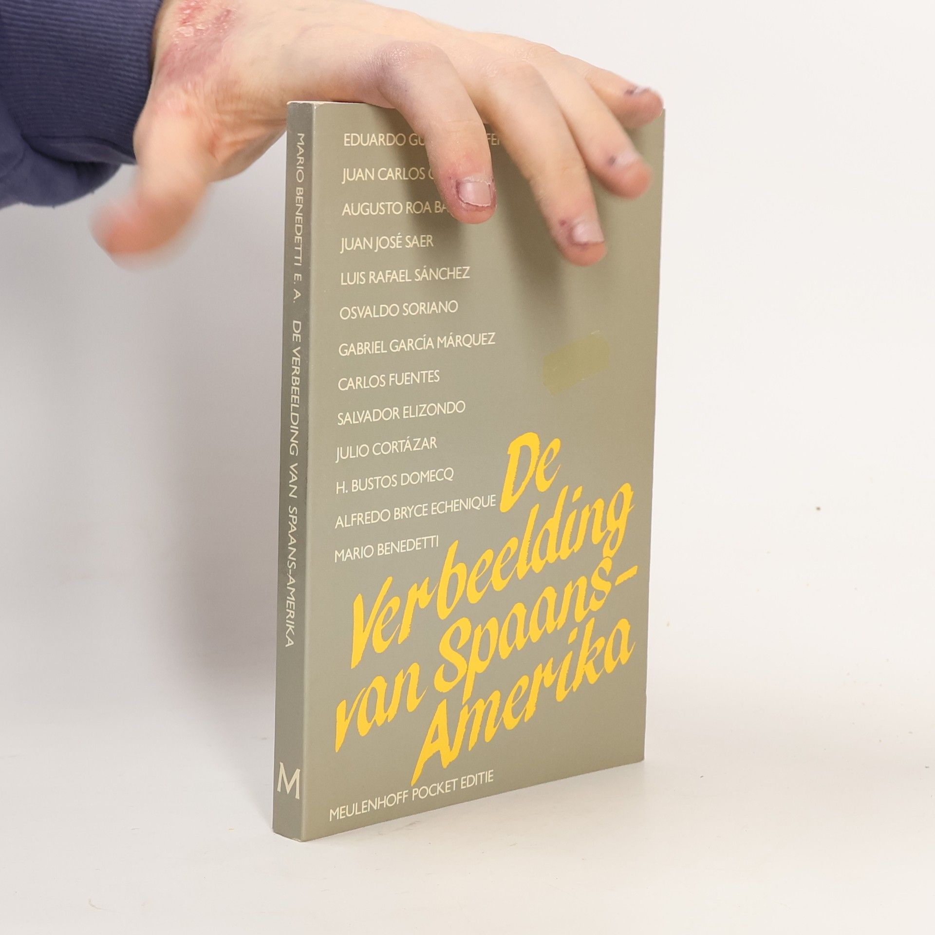 De verbeelding van Spaans Amerika