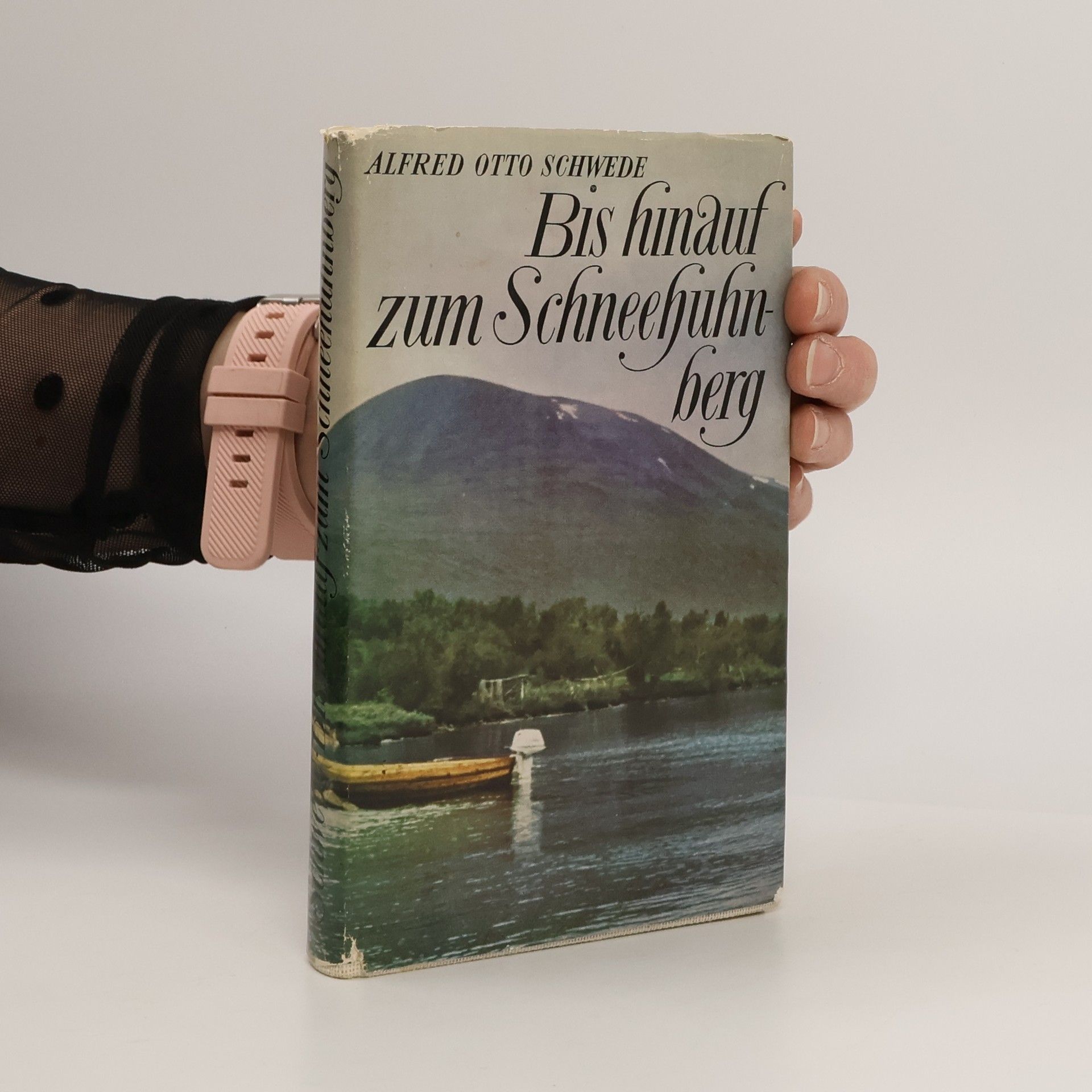 Alfred Otto Schwede Bis hinauf zum Schneehuhnberg
