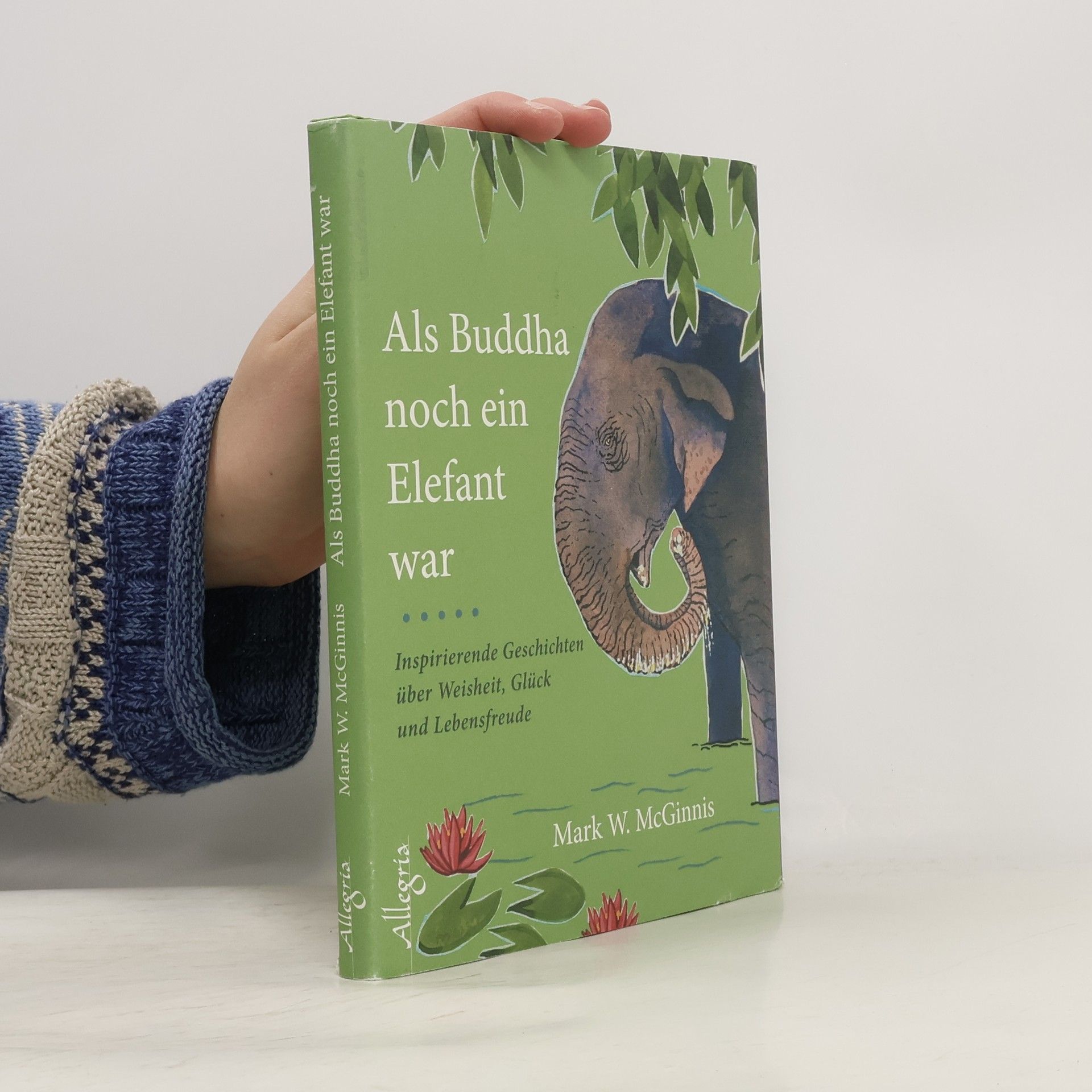 Mark W. Mcginnis Als Buddha noch ein Elefant war
