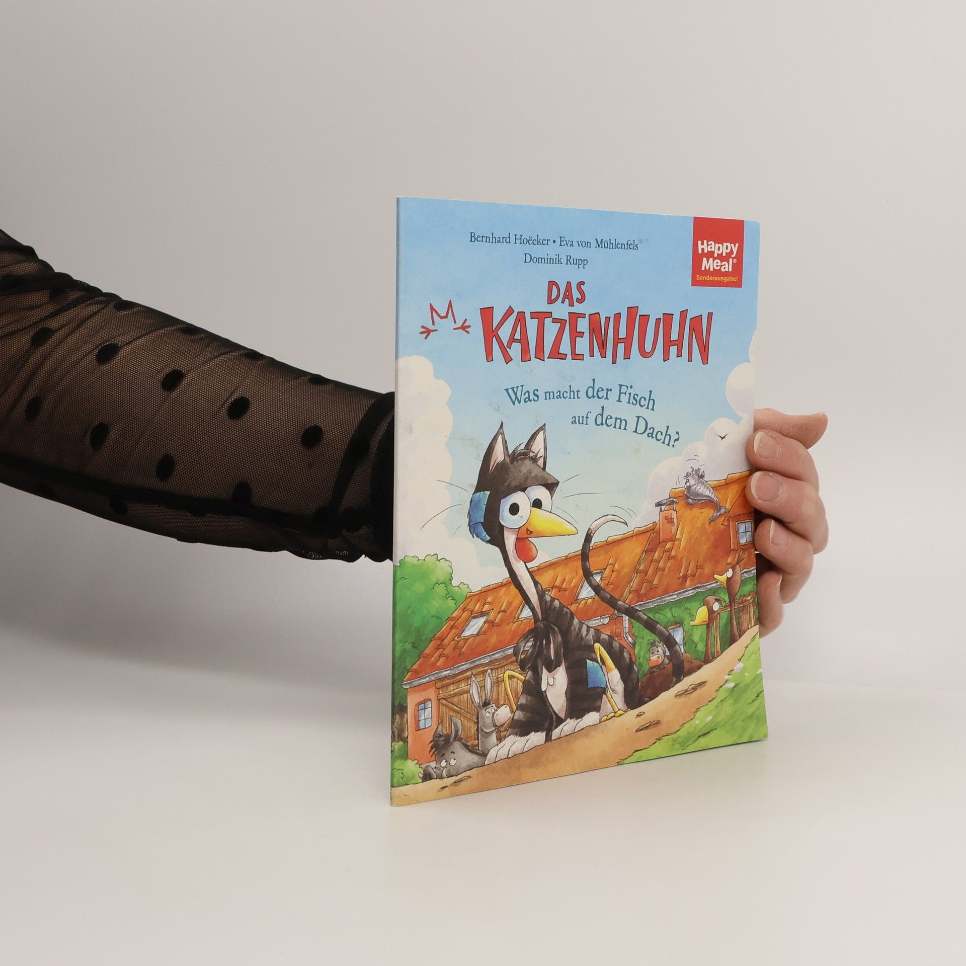 Eva Von Mühlenfels Das Katzenhuhn: Was macht der Fisch auf dem Dach?