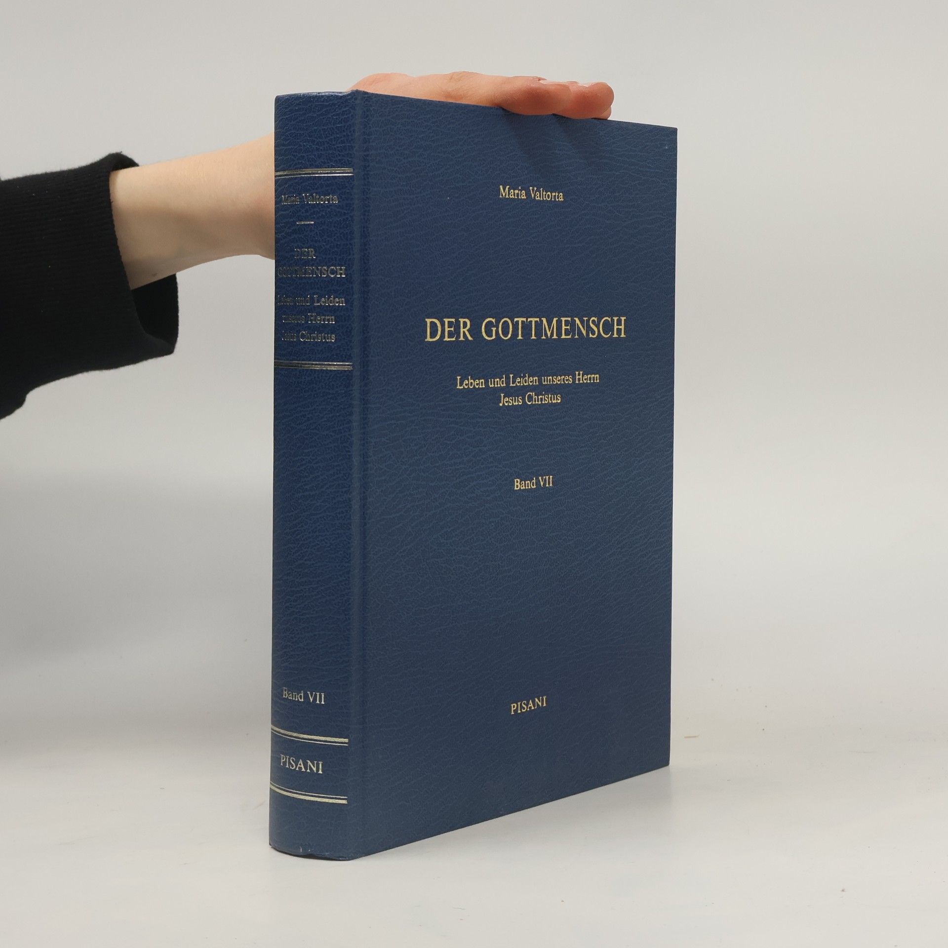 Der Gottmensch. Band VII