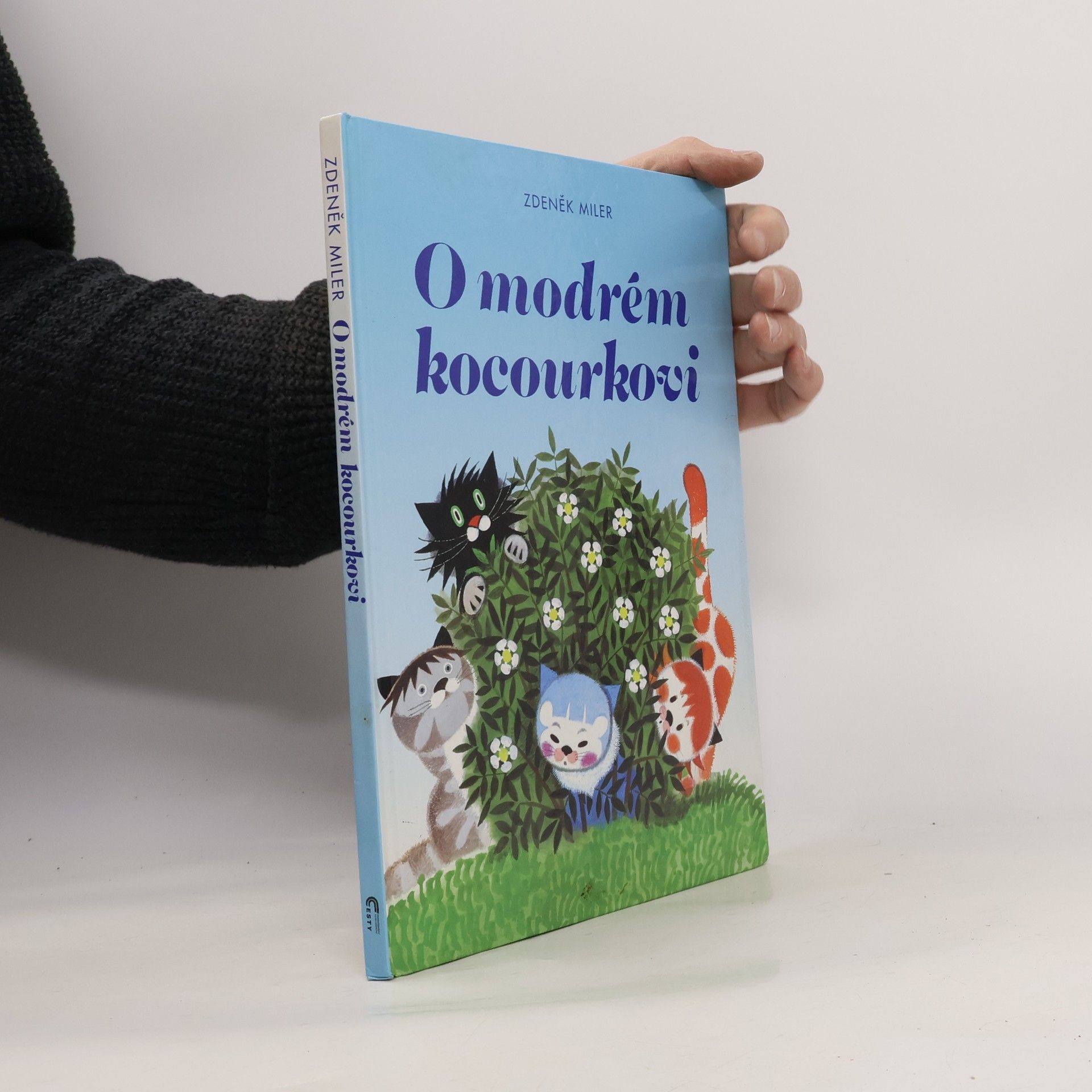 Marika Hellstrom Kennedy O modrém kocourkovi