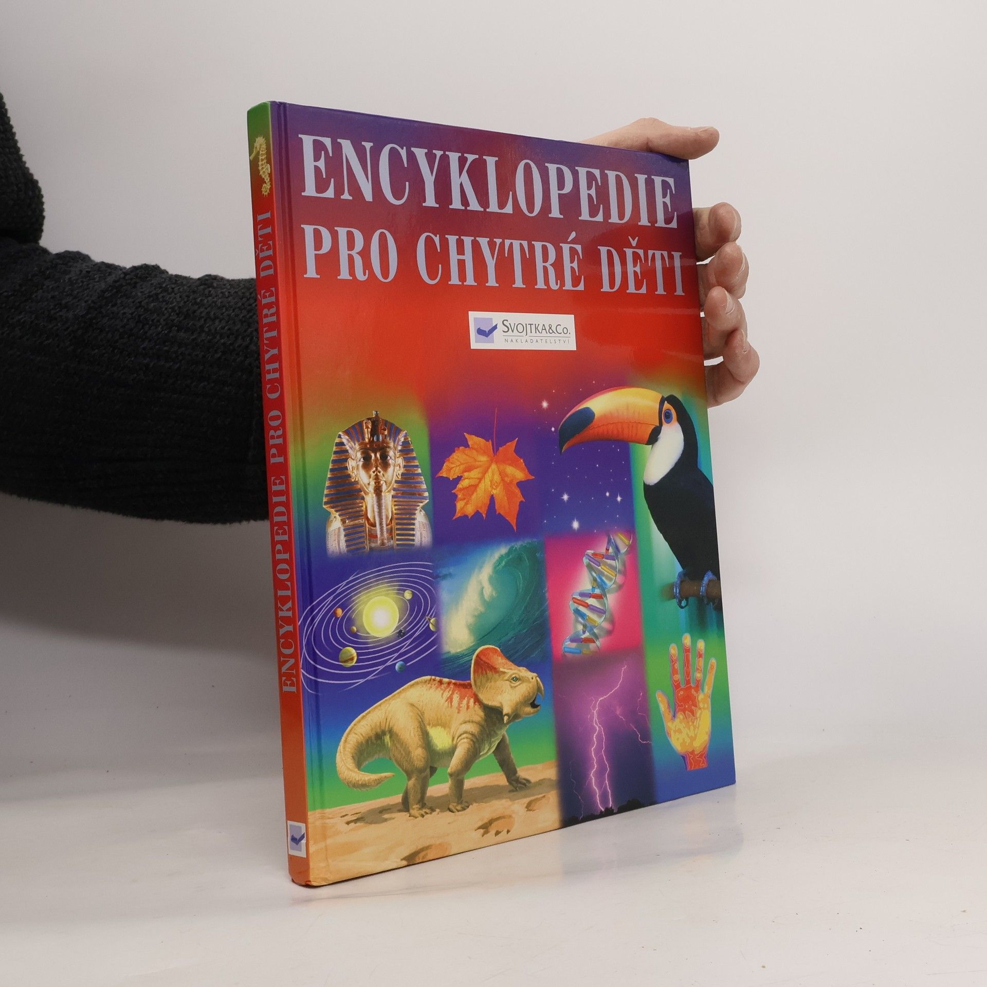 Autorenkollektiv Encyklopedie pro chytré děti