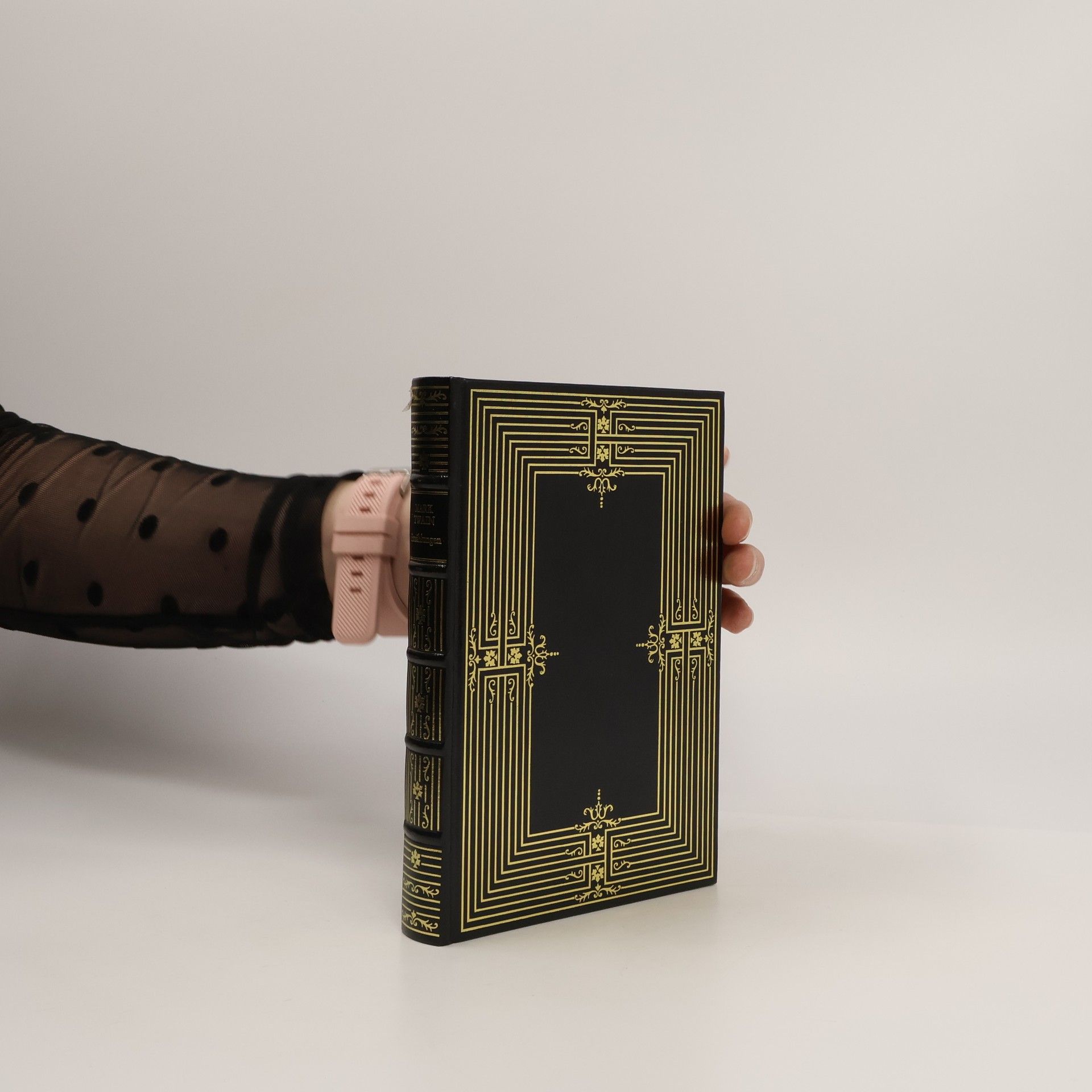 Mark Twain Erzählungen und Skizzen