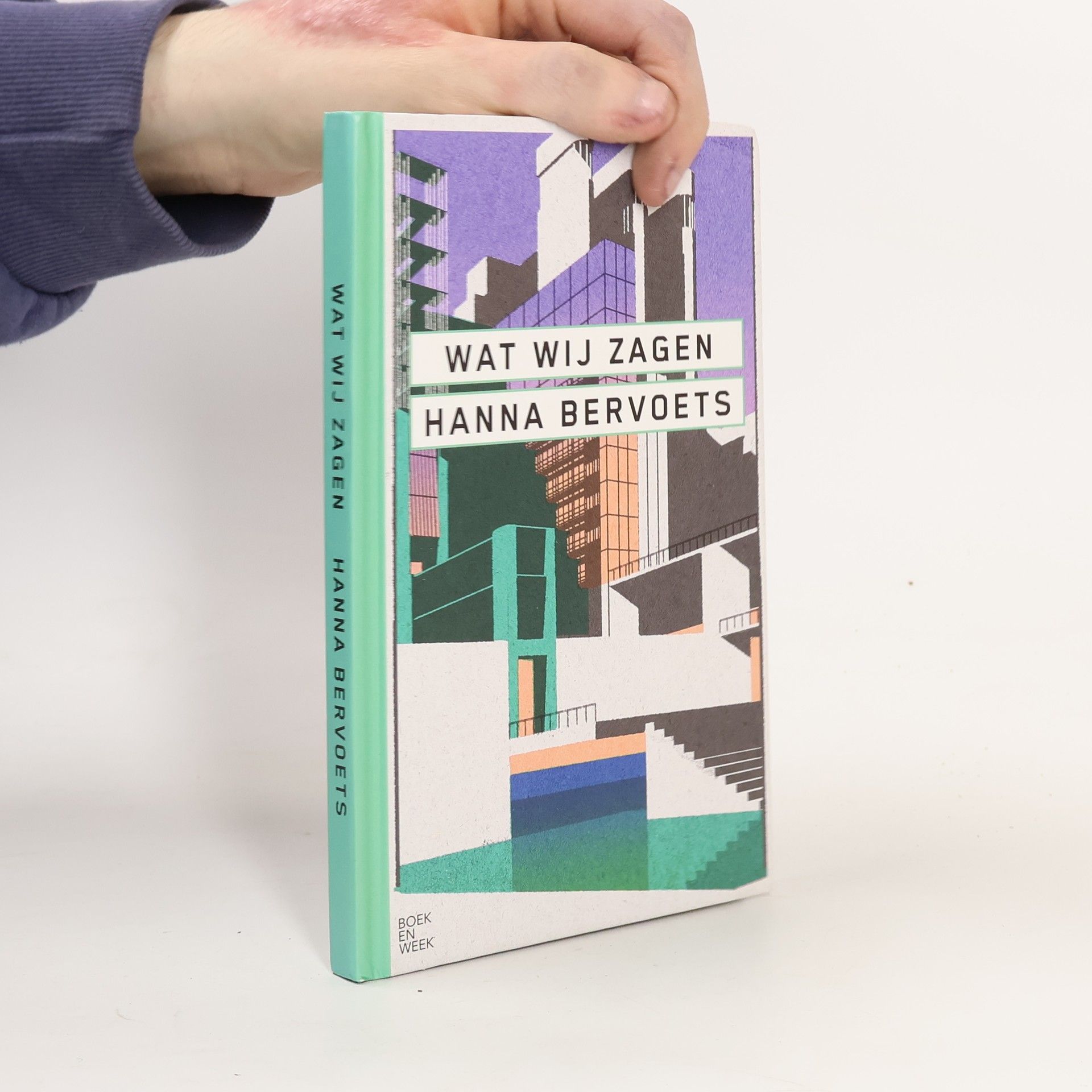 Hanna Bervoets Wat wij zagen