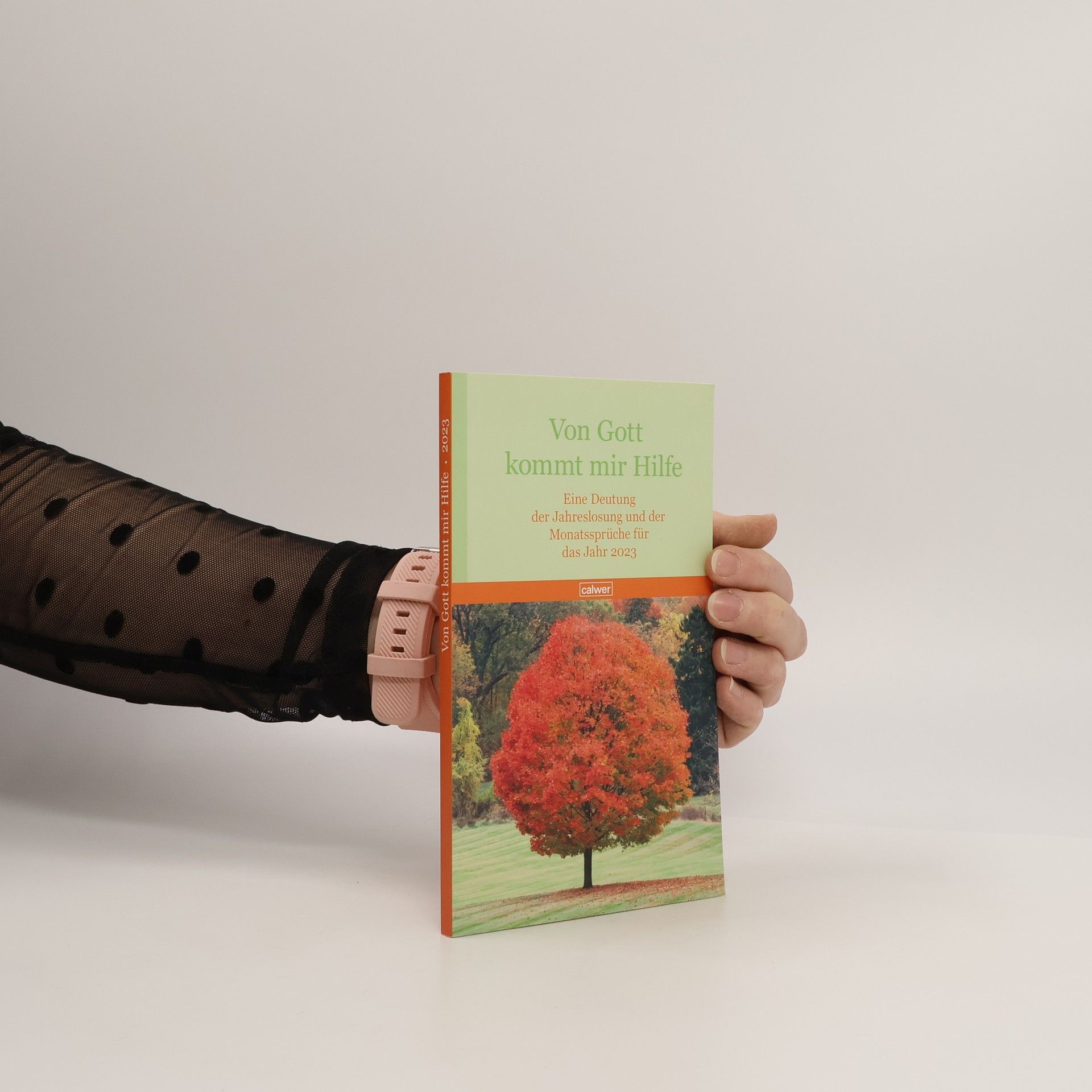 Bernd Wildermuth Von Gott kommt mir Hilfe 2023