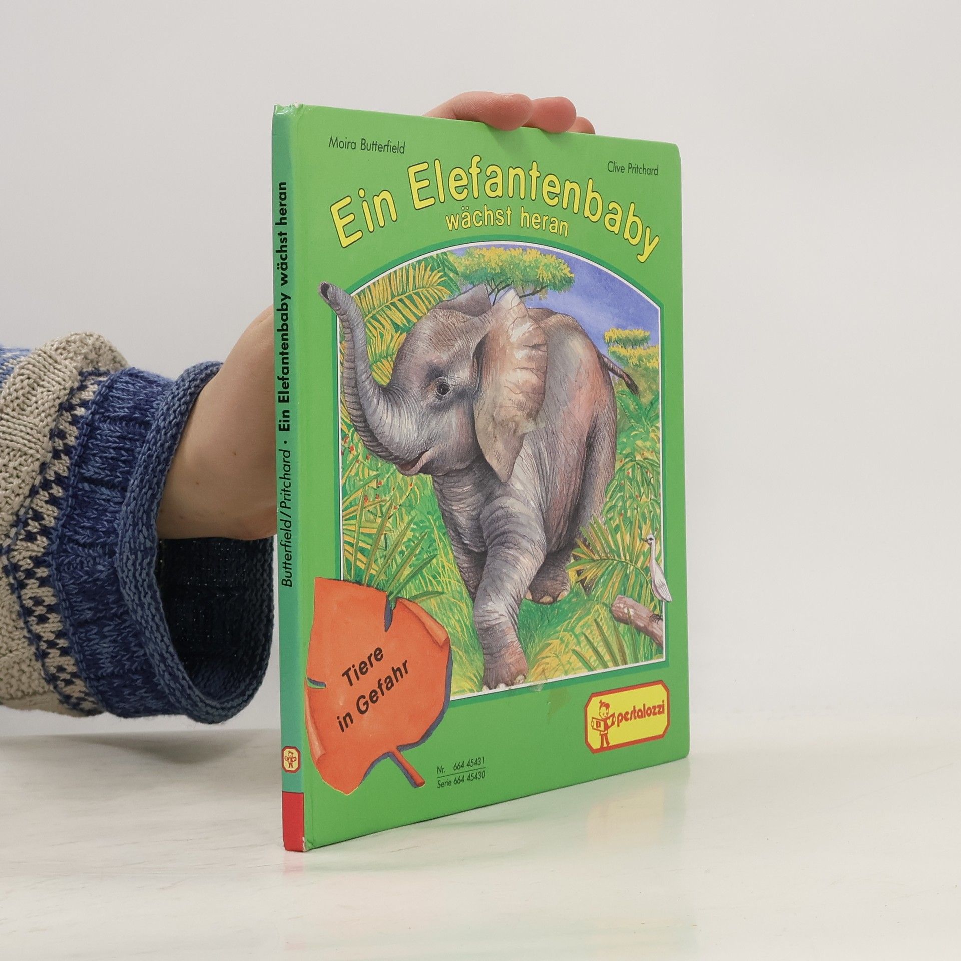 Moira Butterfield Ein Elefantenbaby wächst heran