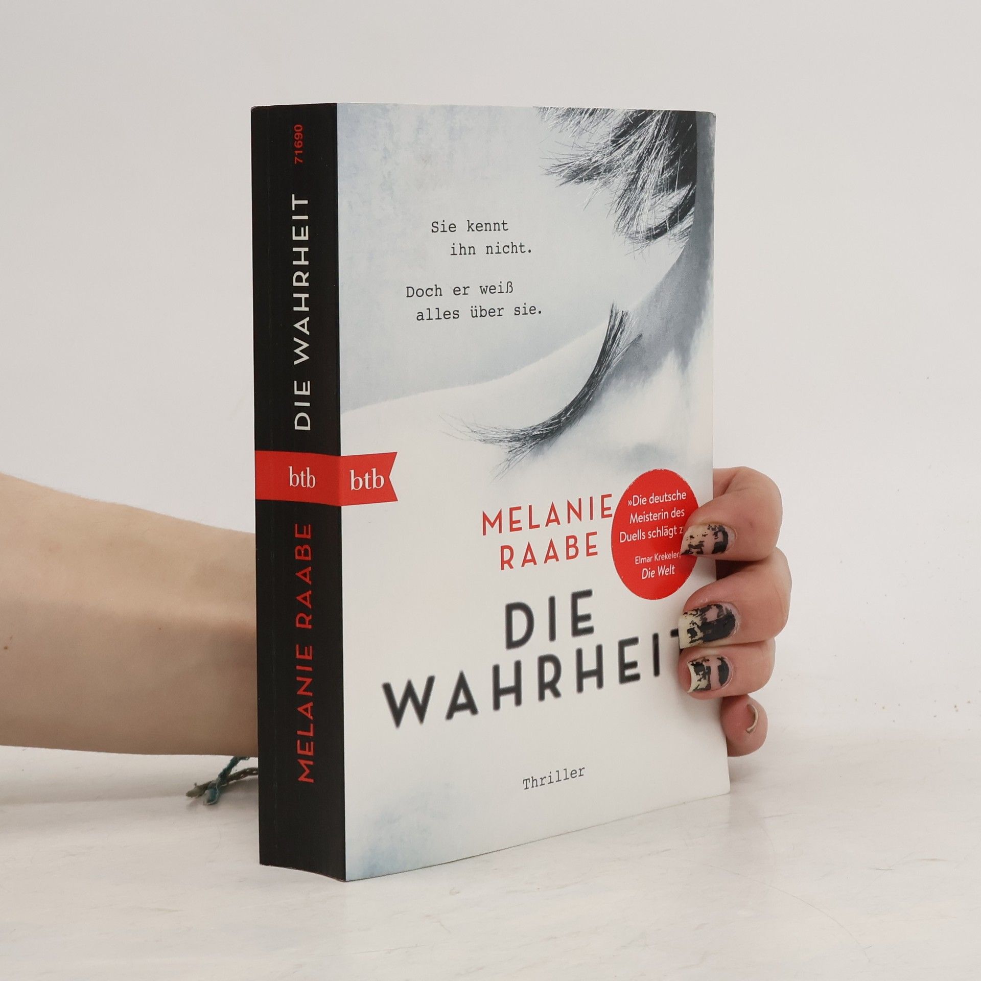 Melanie Raabe Die Wahrheit