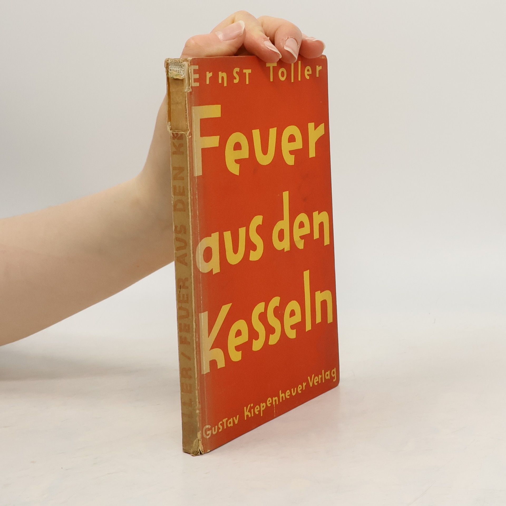 Ernst Toller Feuer aus den Kesseln