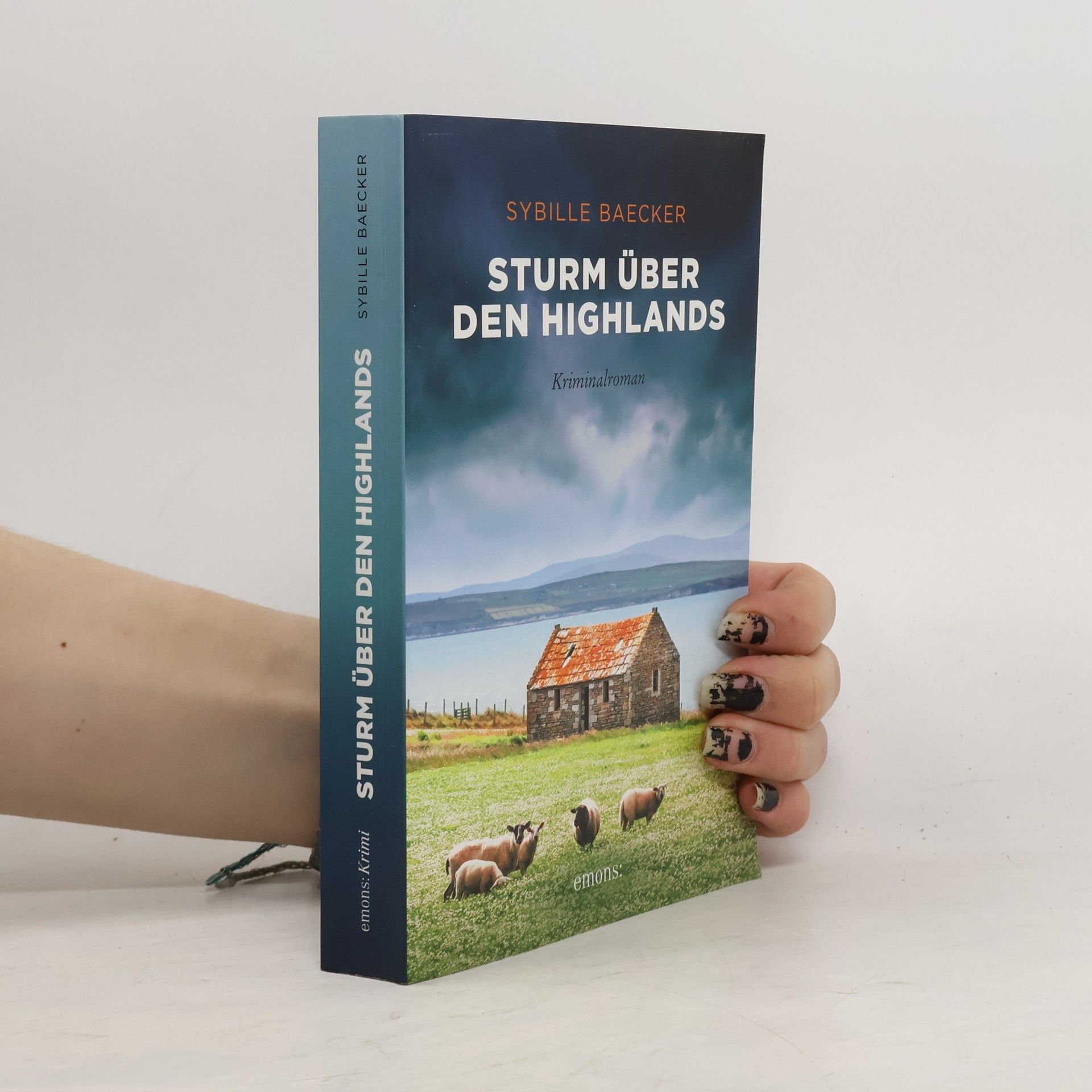 Sybille Baecker Sturm über den Highlands