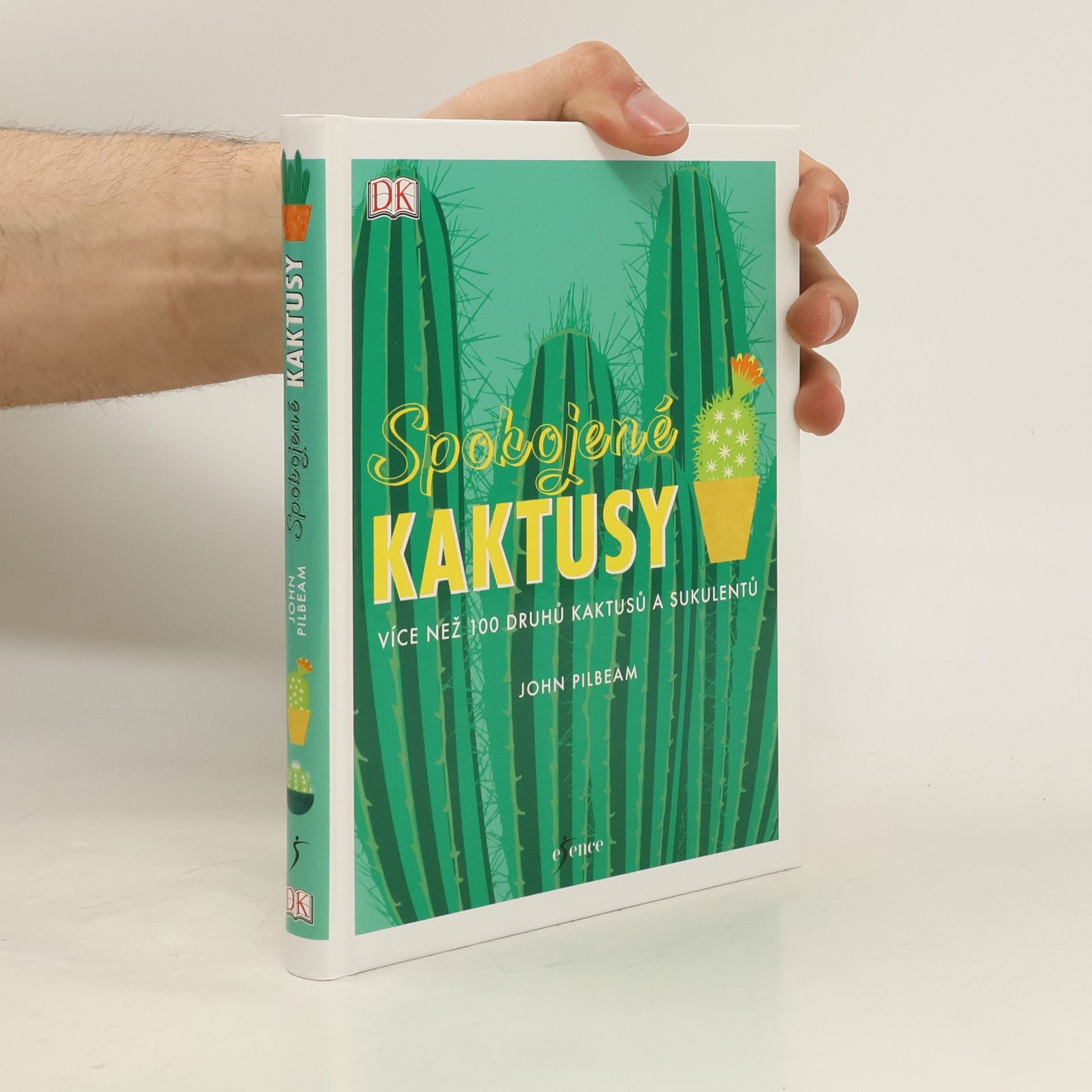 John Pilbeam Spokojené kaktusy