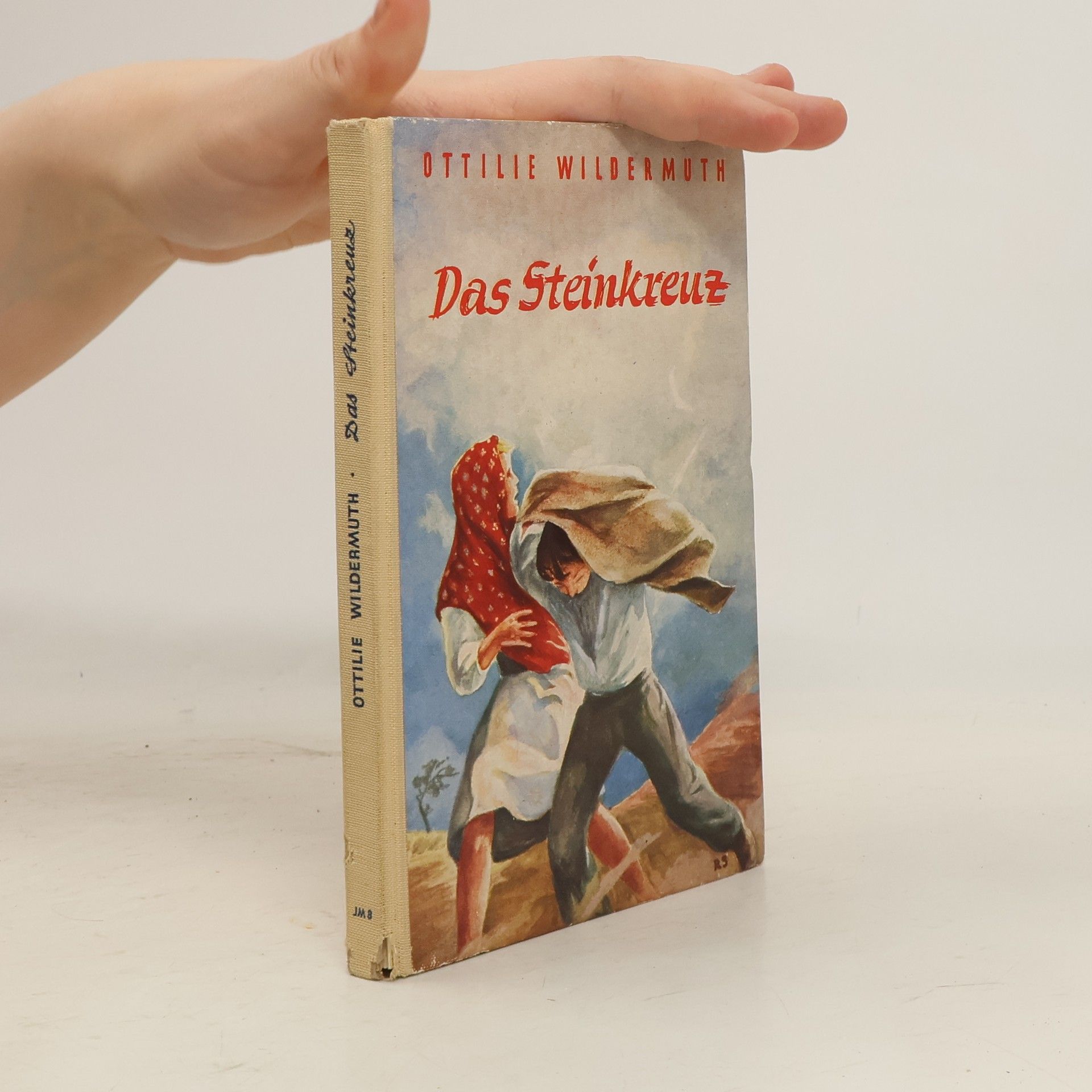 Ottilie Wildermuth Das Steinkreuz