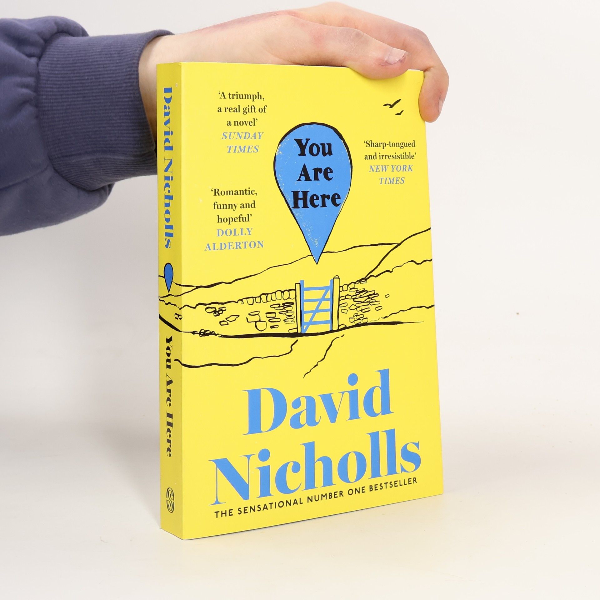 David Nicholls You Are Here
