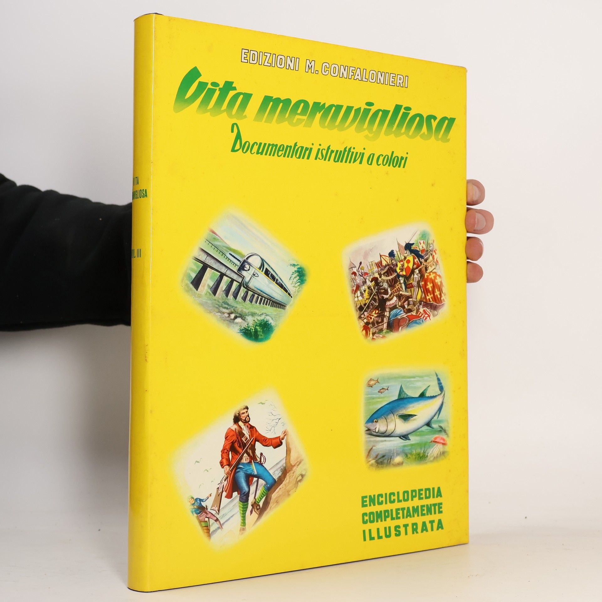 Collectif d'auteurs Vita meravigliosa