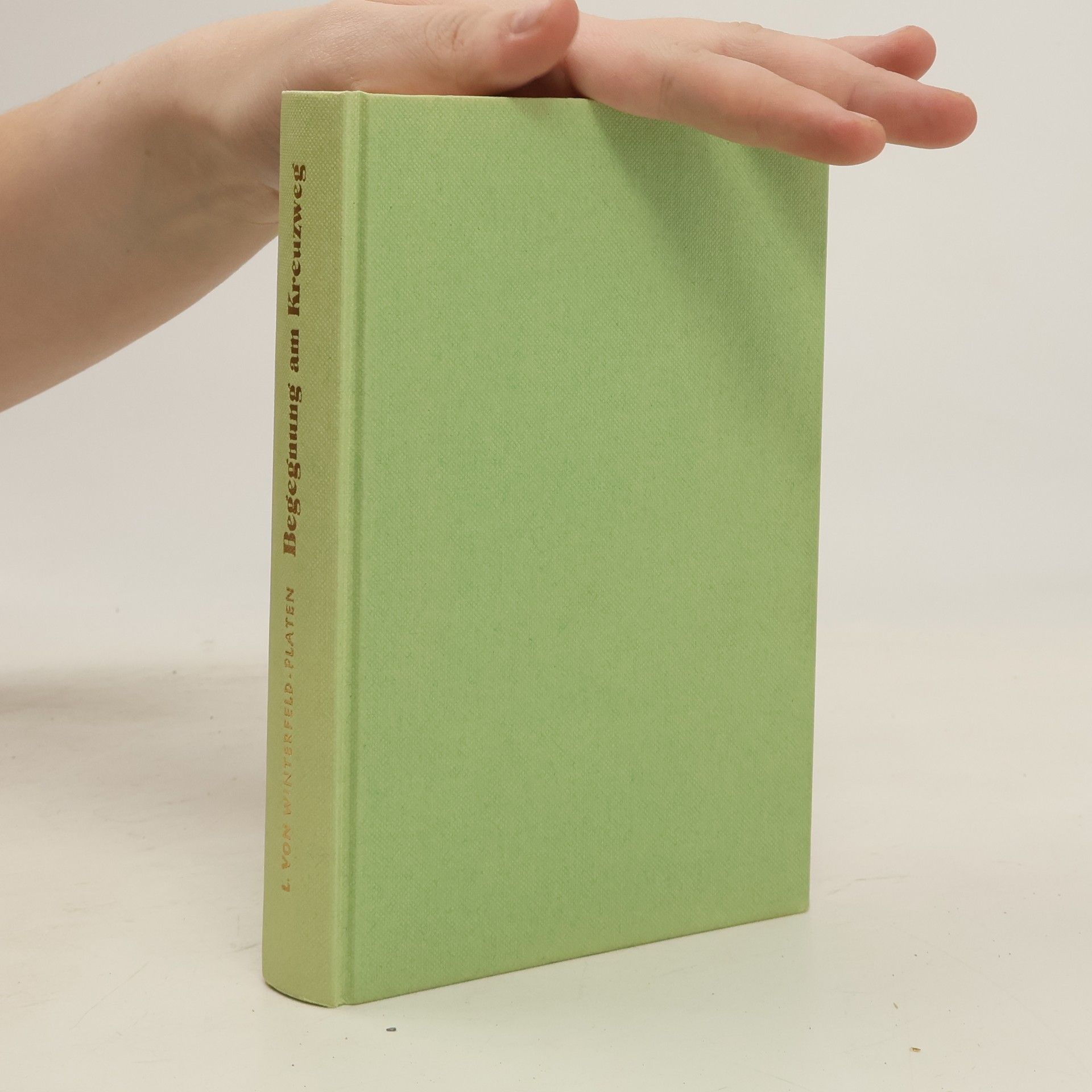 Leontine von Winterfeld-Platen Begegnung am Kreuzweg