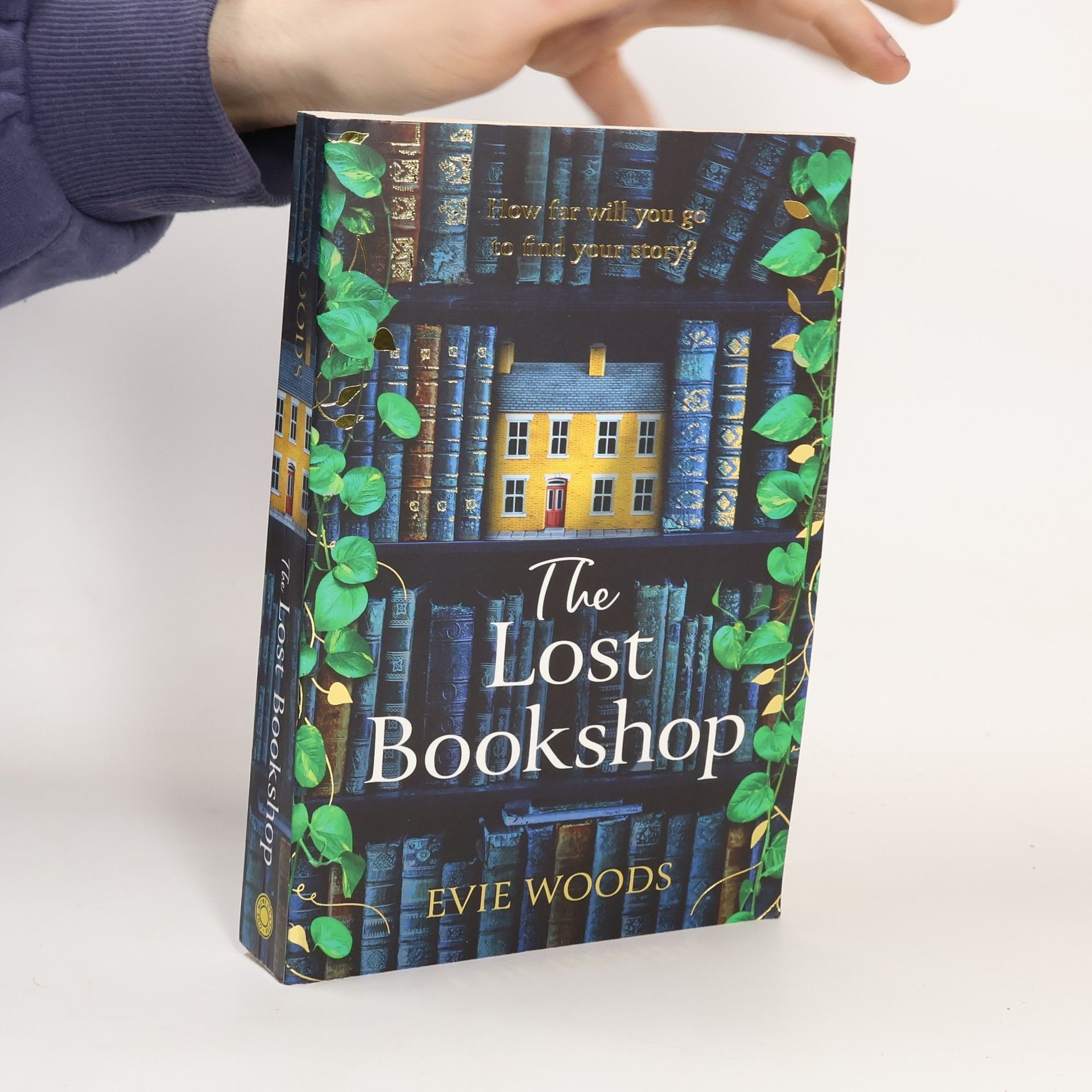 Evie Woods The Lost Bookshop