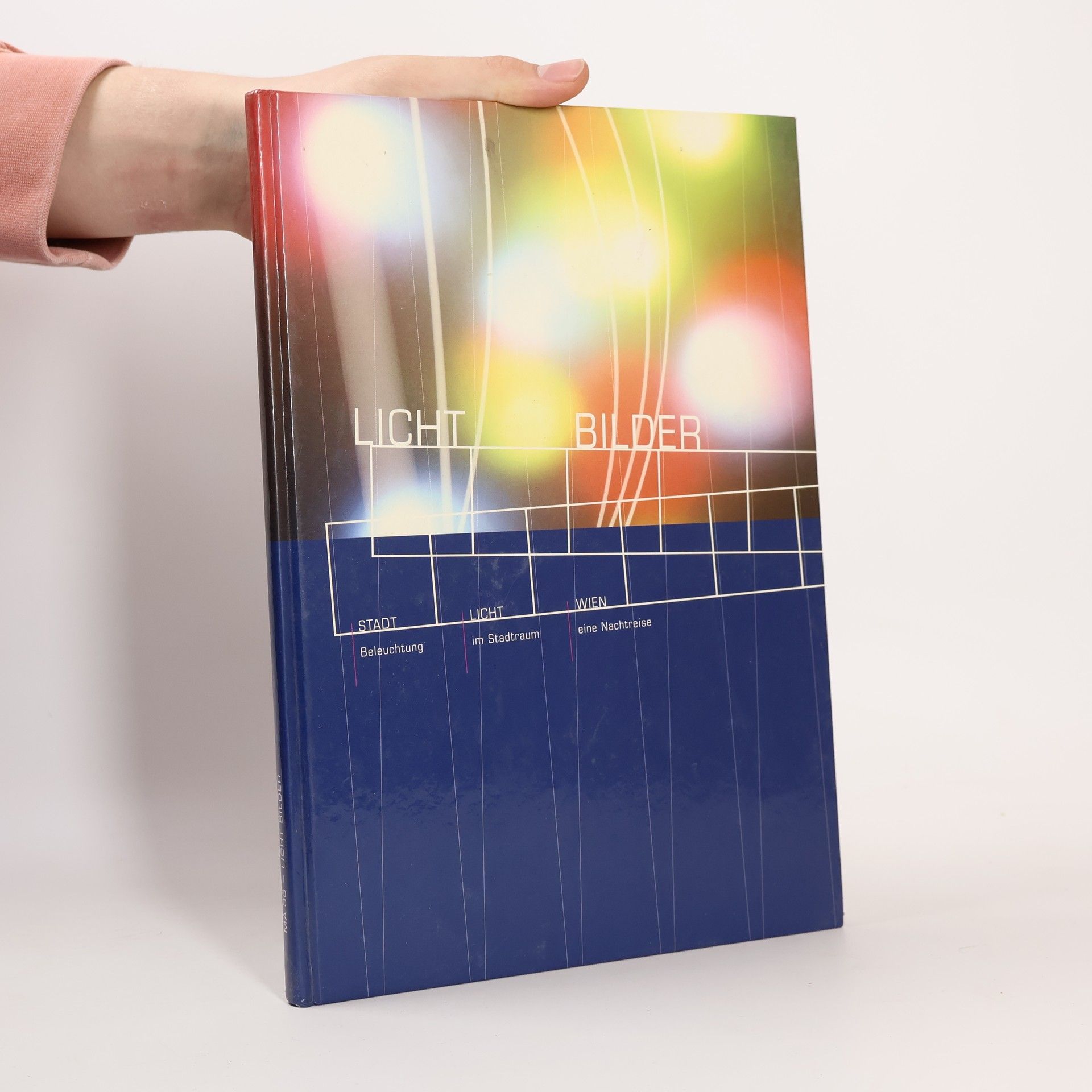 Autorenkollektiv Lichtbilder. Stadt, Licht, Wien. Beleuchtung im Stadtraum - eine Nachtreise