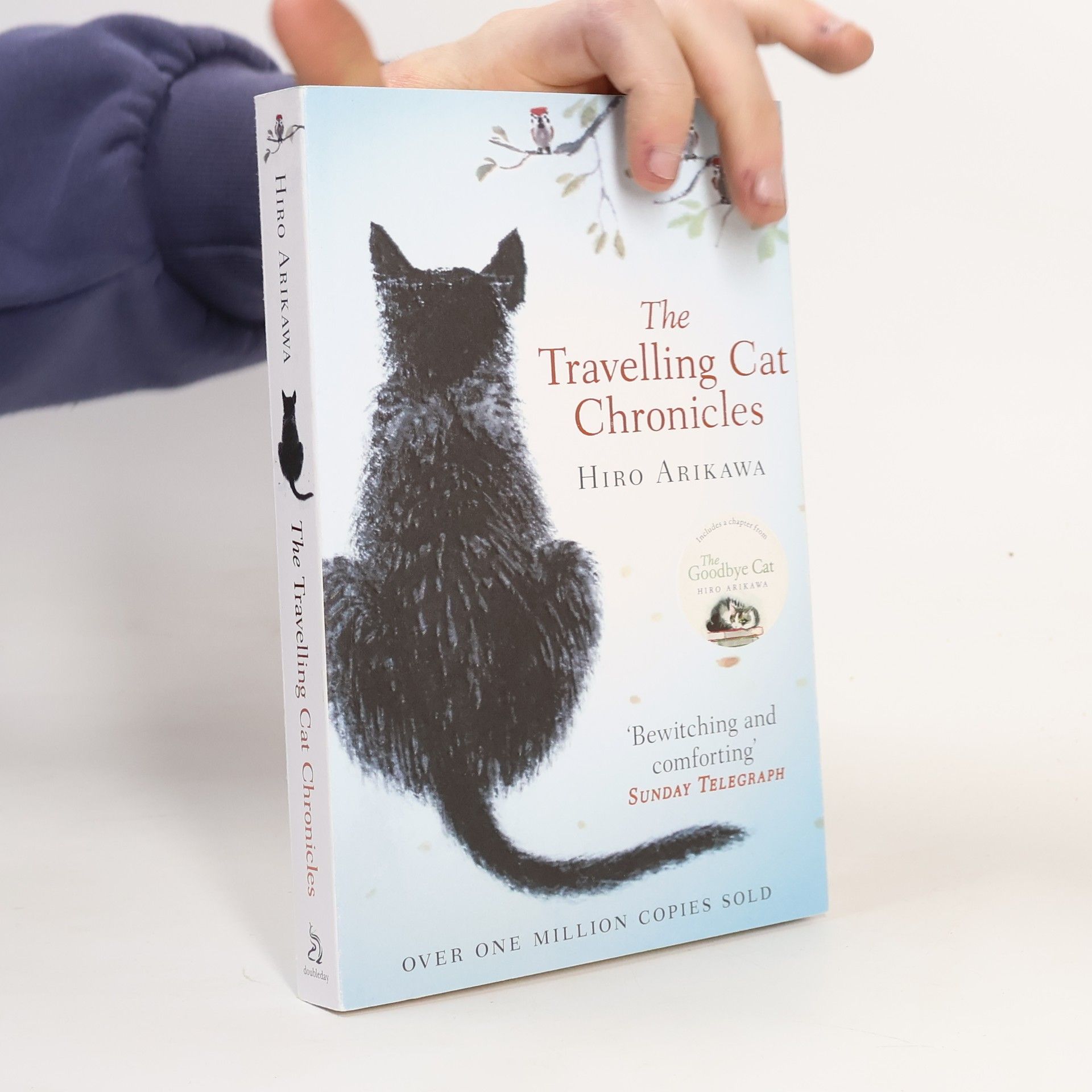 Hiro Arikawa The travelling cat chronicles