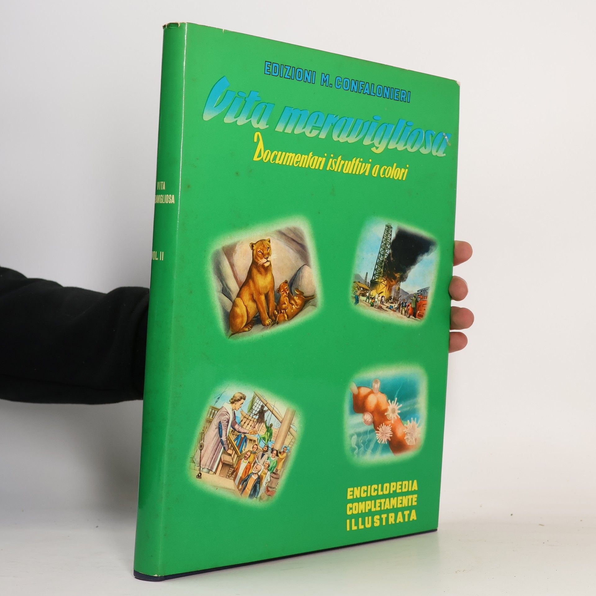 Kolektiv autorů Vita meravigliosa