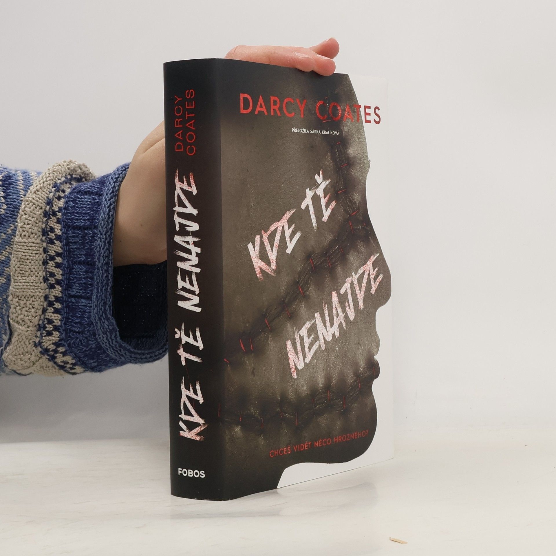 Darcy Coates Kde tě nenajde