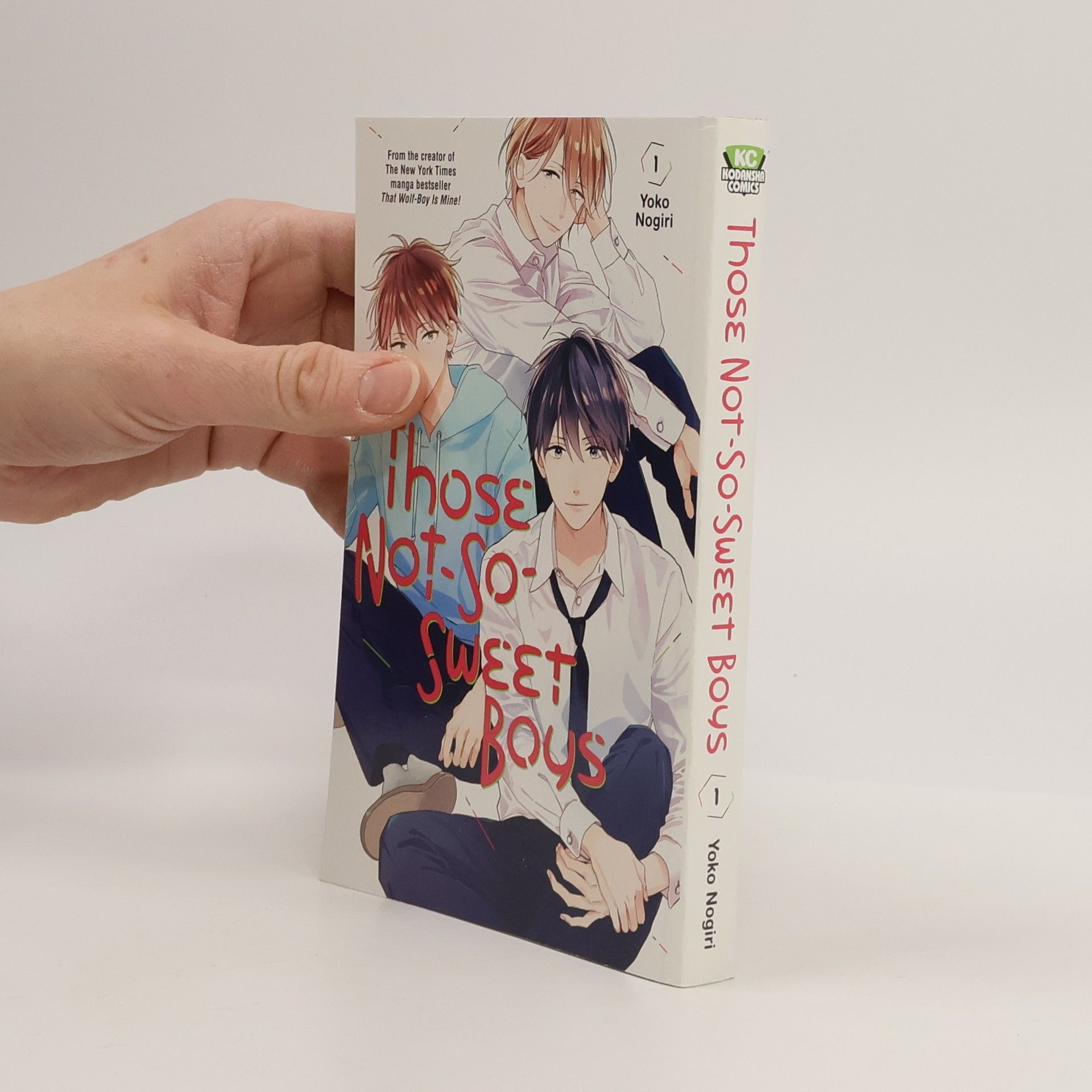 Yoko Nogiri Those Not-So-Sweet Boys