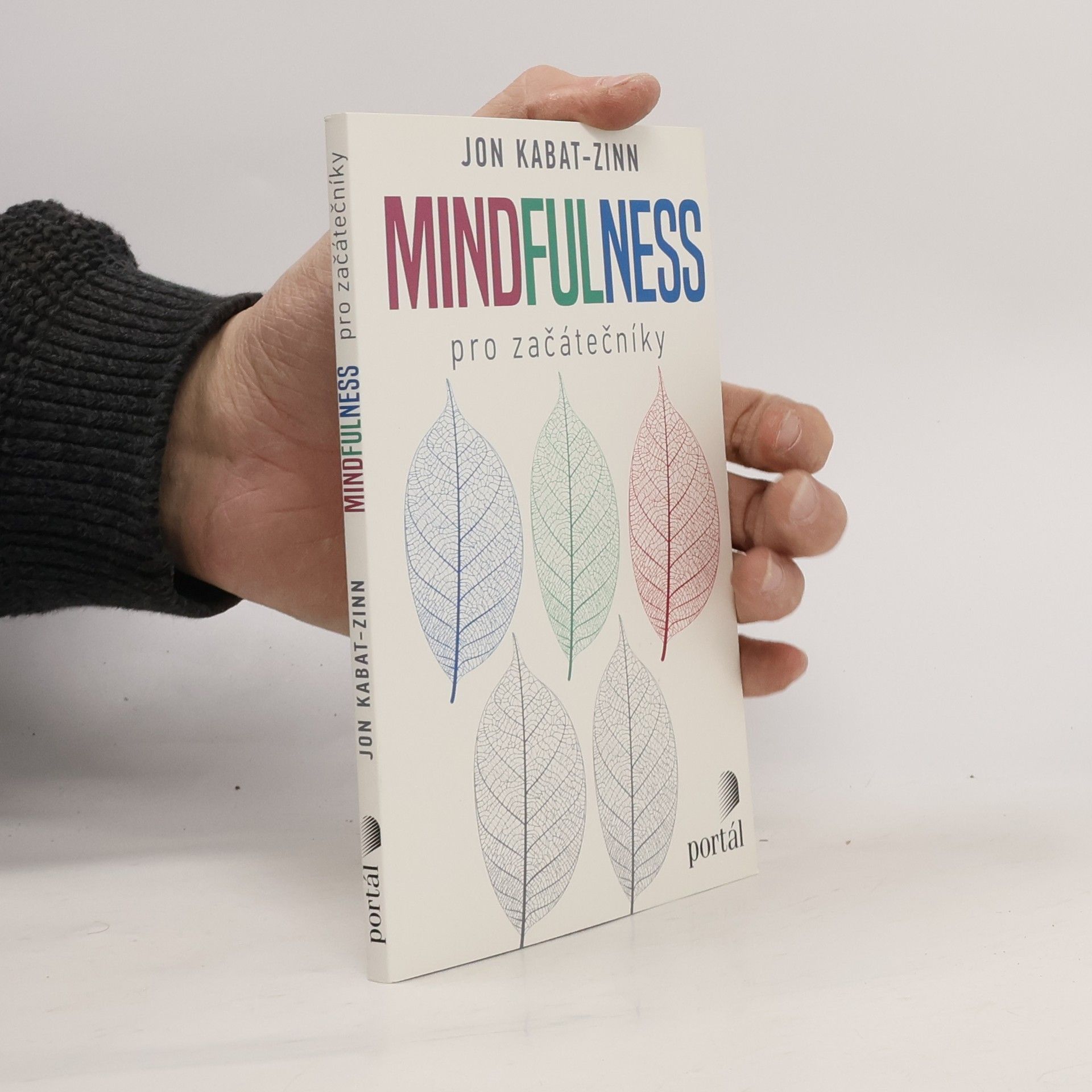Mindfulness pro začátečníky