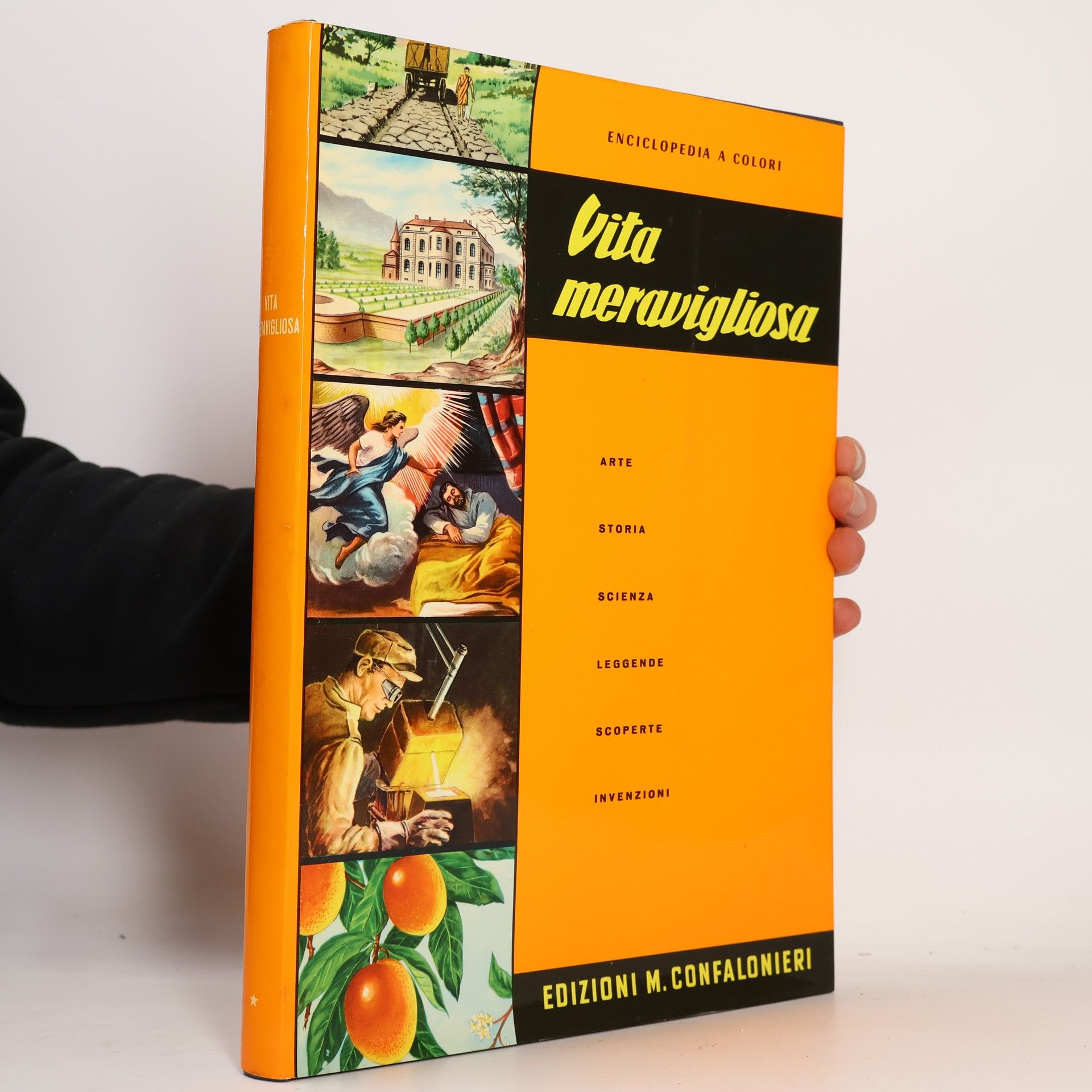 Collectif d'auteurs Vita meravigliosa